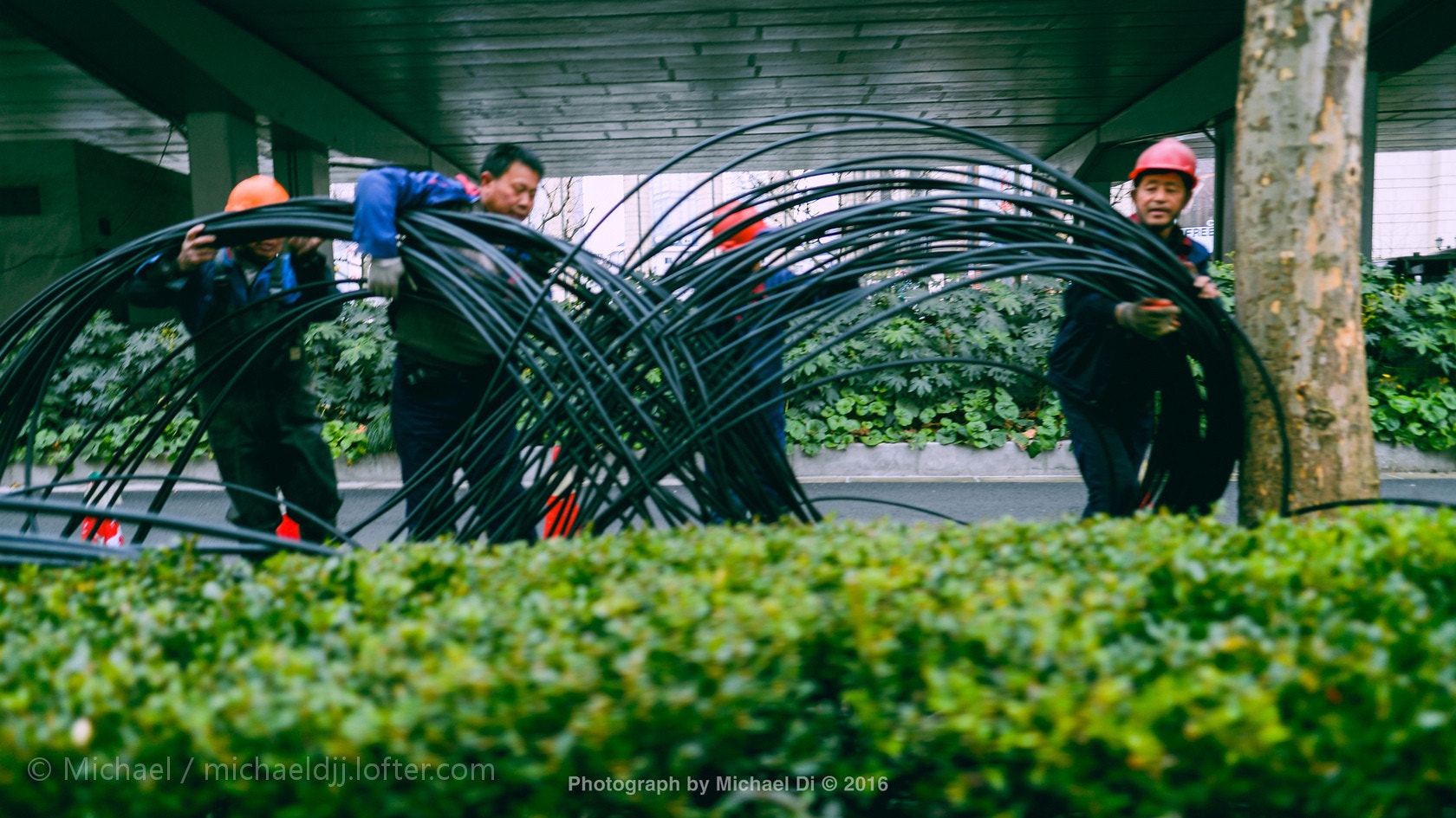 Nikon Df sample photo.  忙  photography