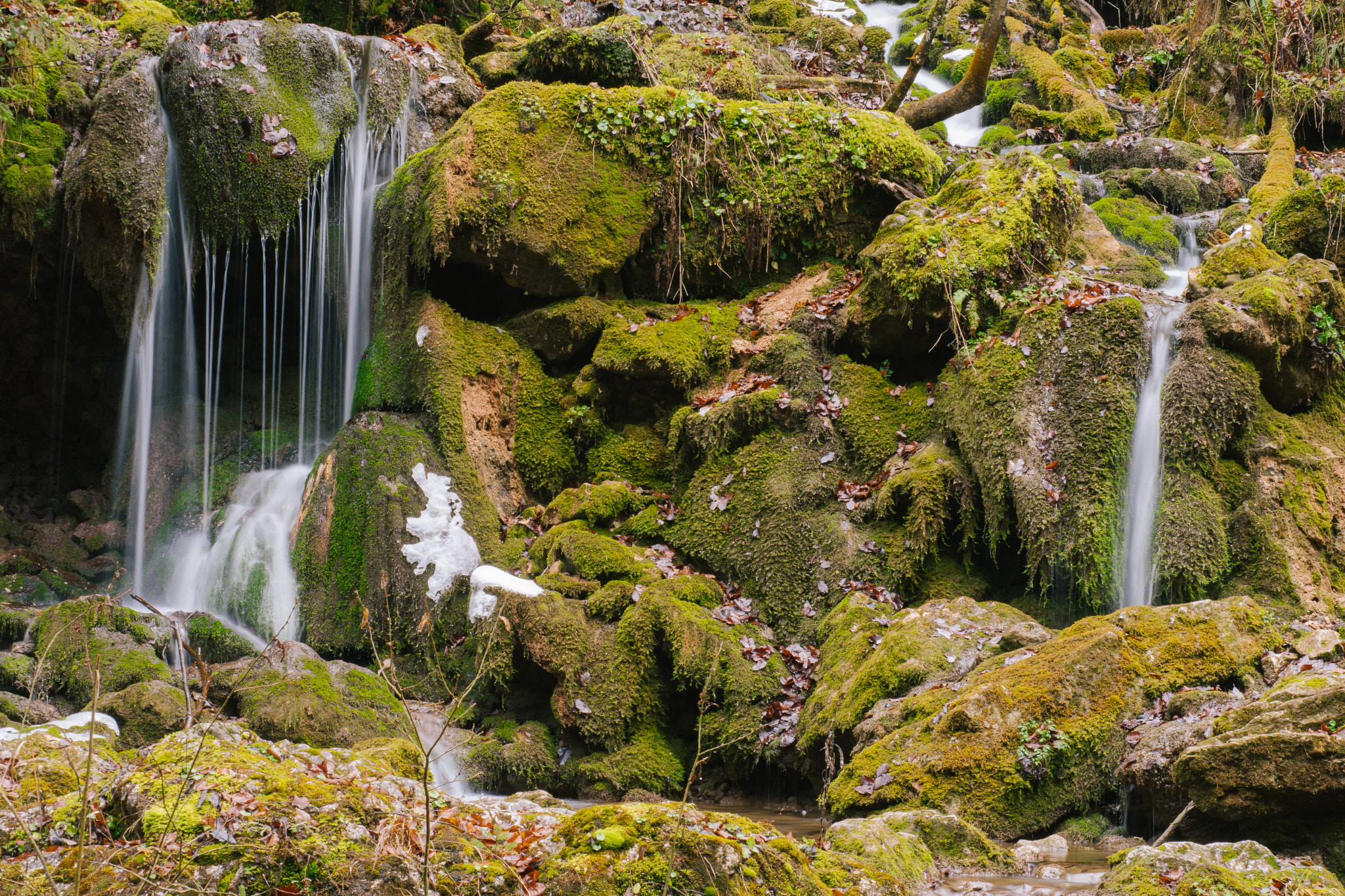 Nikon D7200 + AF Micro-Nikkor 60mm f/2.8 sample photo. Silent nature photography