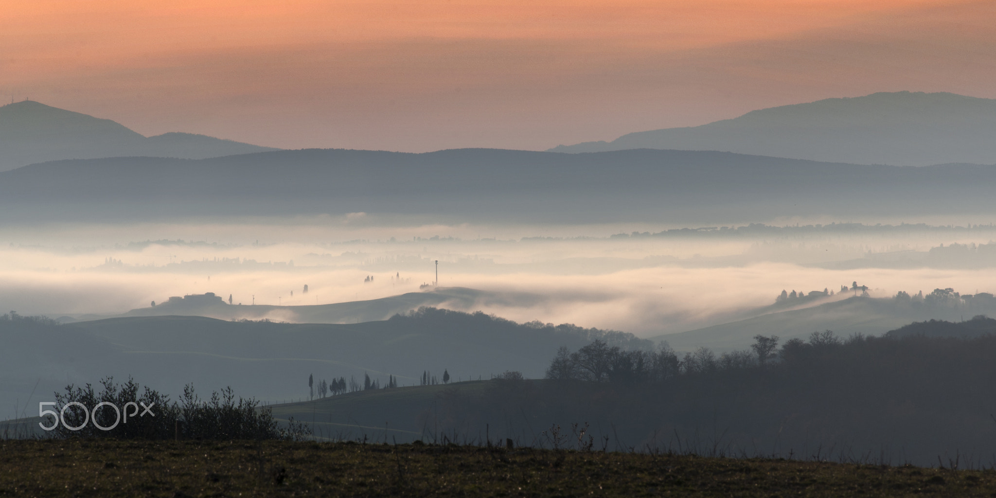 Orizzonti Nebbiosi