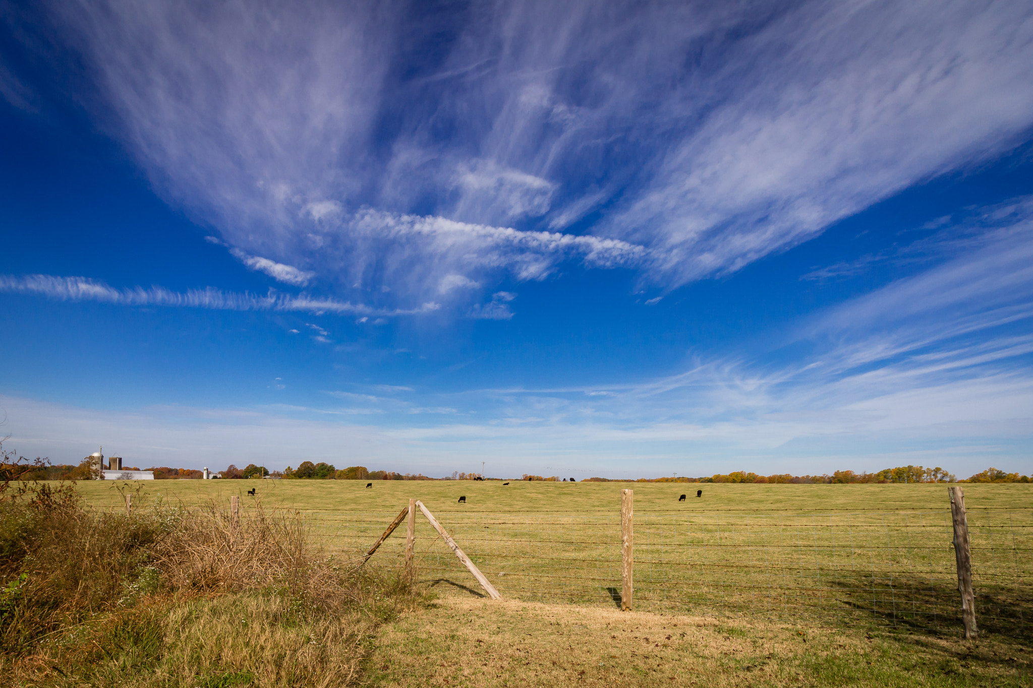 Canon EF-S 10-18mm F4.5–5.6 IS STM sample photo. October afternoon in virginia photography