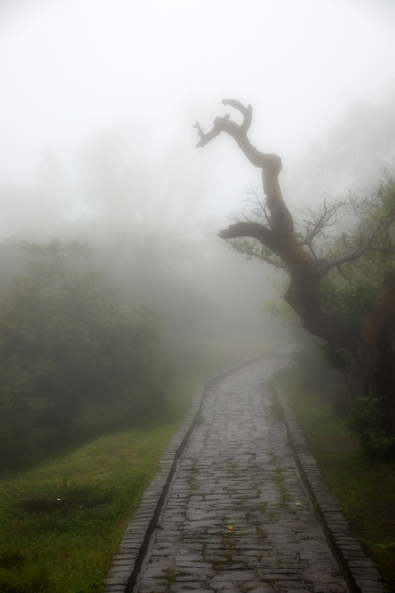 Sony SLT-A33 + DT 18-270mm F3.5-6.3 SSM sample photo. Path to heaven photography