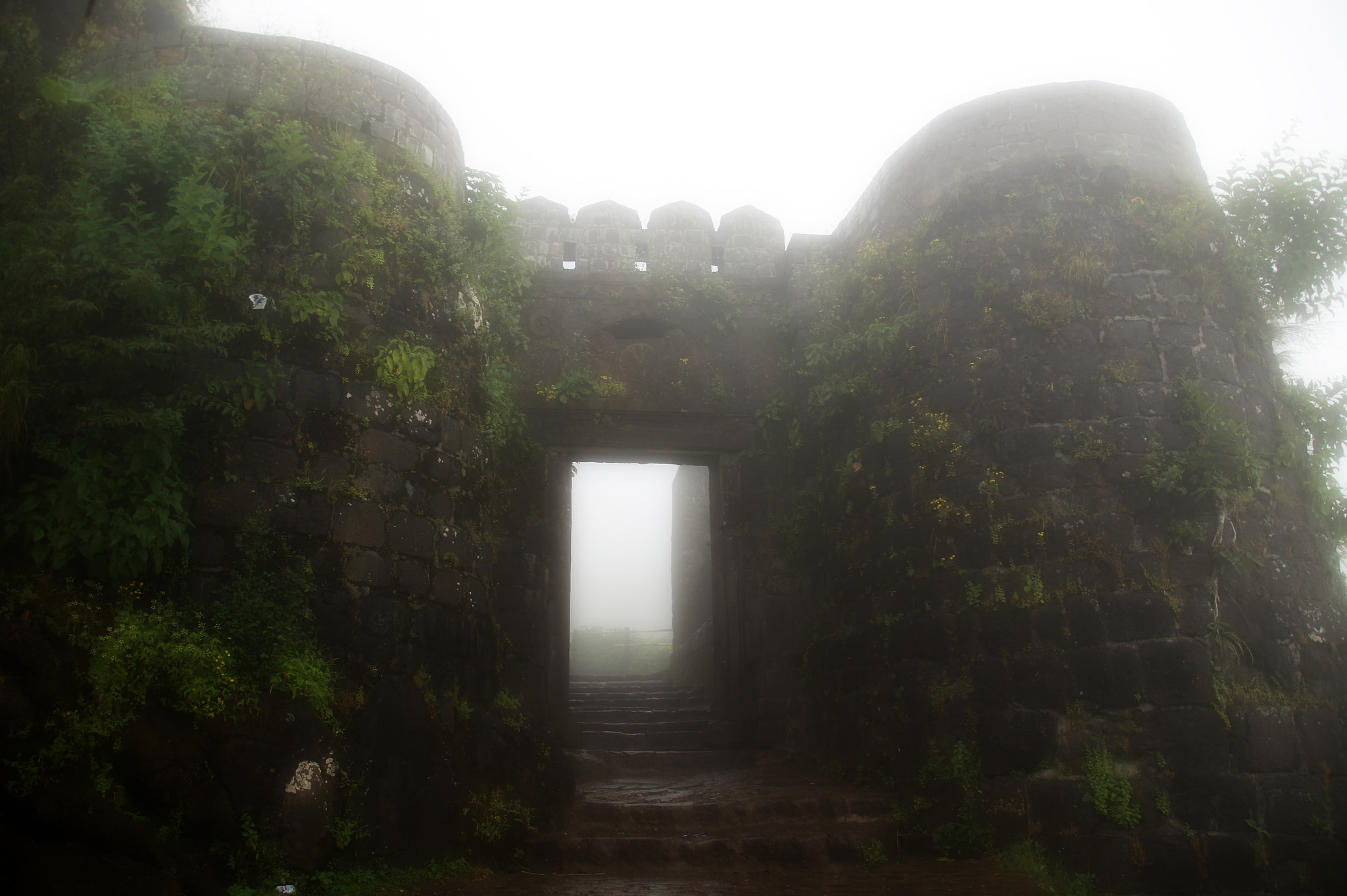 Sony SLT-A33 + DT 18-270mm F3.5-6.3 SSM sample photo. Sinhagad fort photography