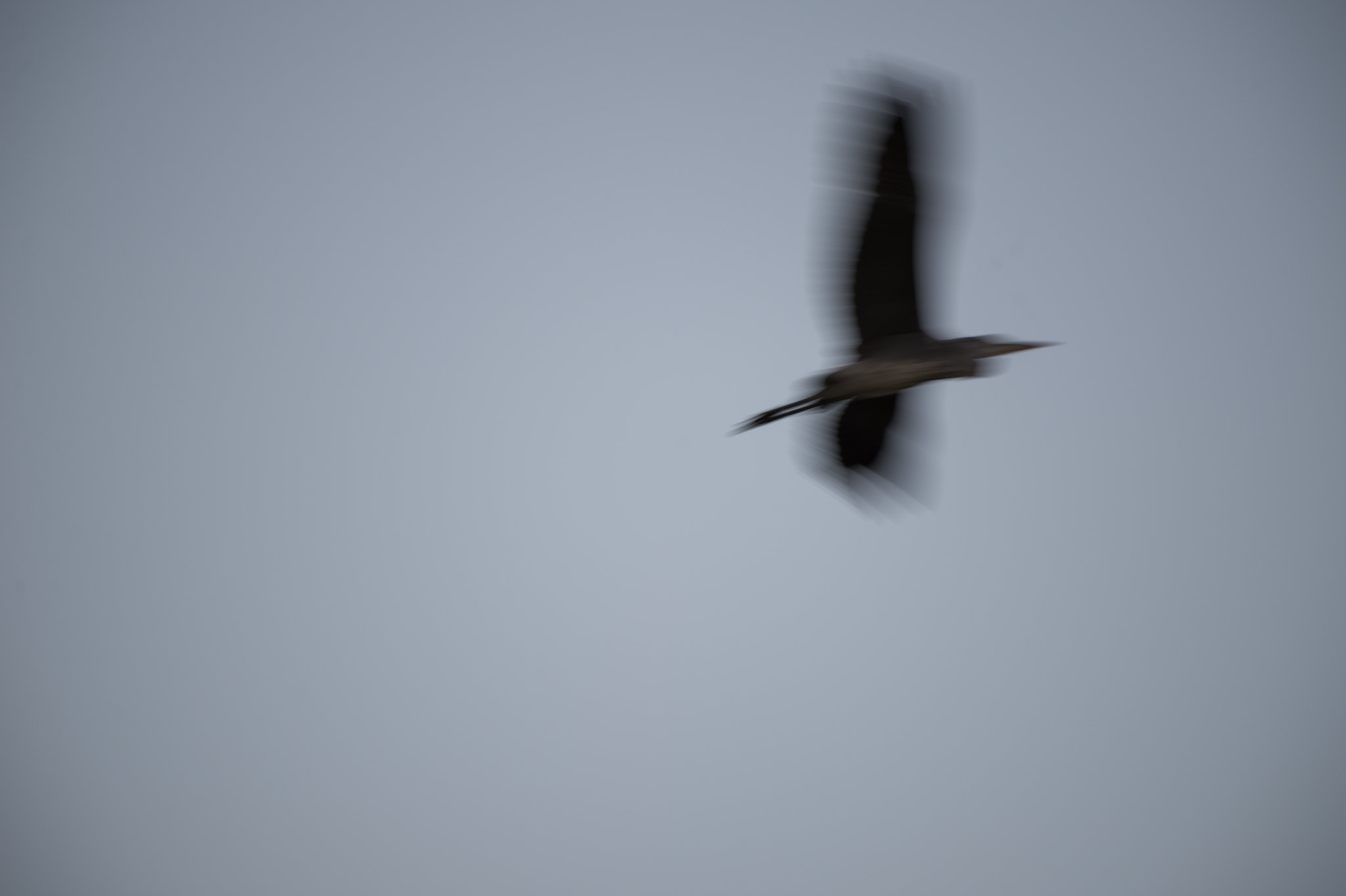 Nikon Df sample photo. In to the night photography