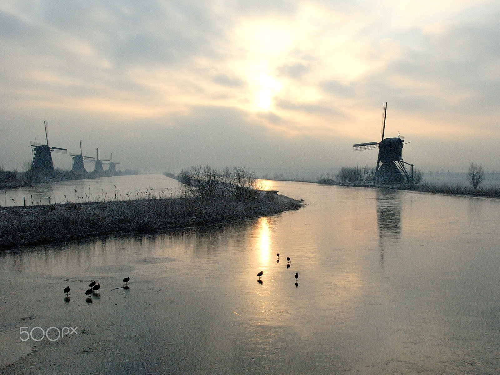 Nikon D200 sample photo. Cold wintermorning at kinderdijk photography