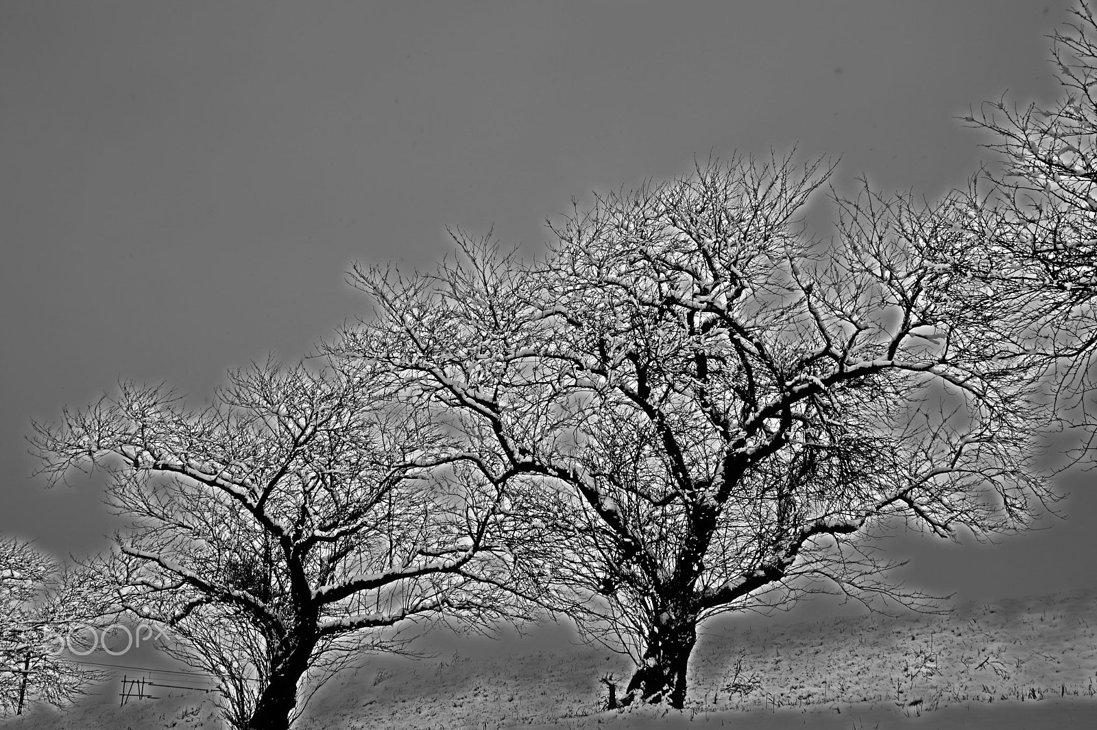 Tamron AF 18-200mm F3.5-6.3 XR Di II LD Aspherical (IF) Macro sample photo. "日本の冬"japanese winter photography