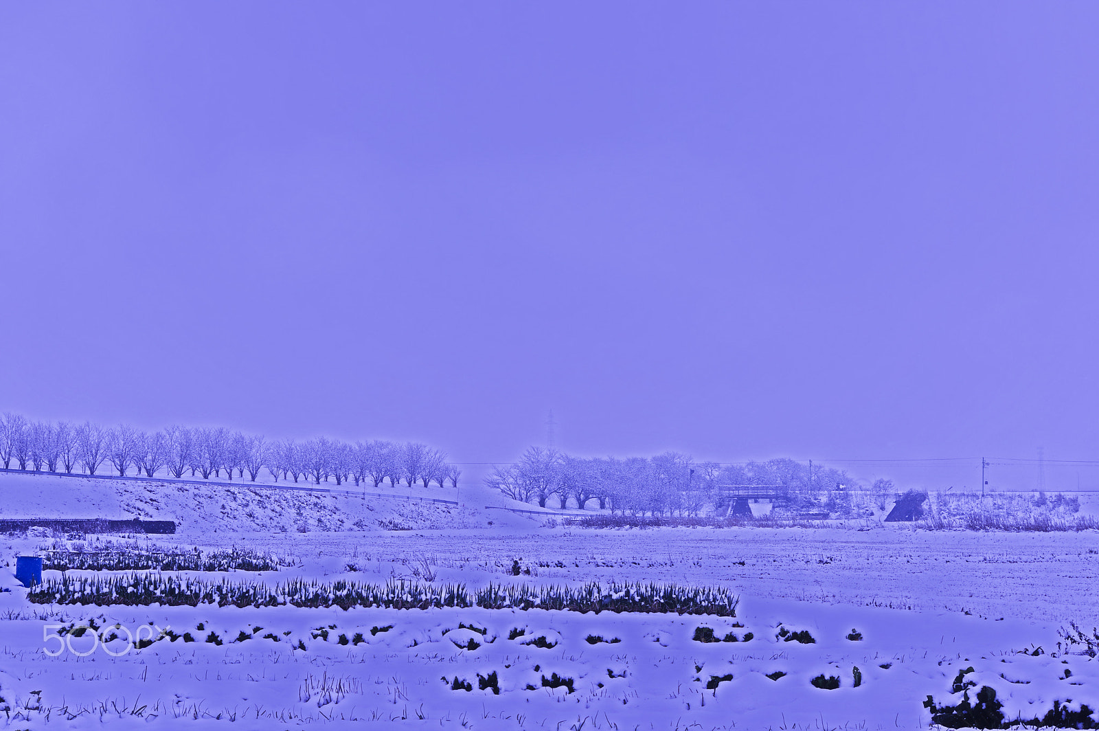 smc PENTAX-DA L 55-300mm F4-5.8 ED sample photo. "日本の冬"japanese winter photography
