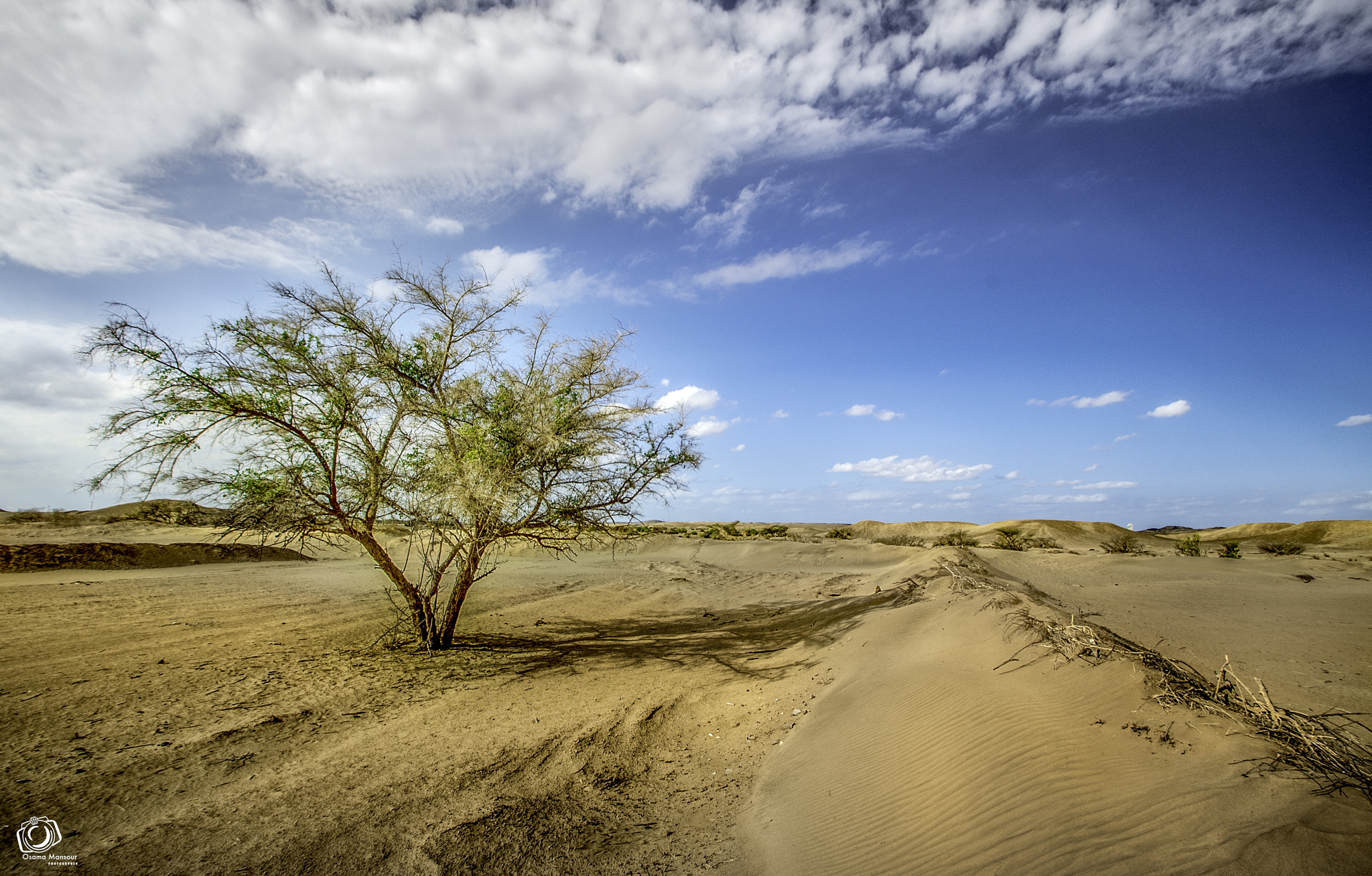 Nikon D610 + Tamron SP AF 10-24mm F3.5-4.5 Di II LD Aspherical (IF) sample photo. The desert is my love photography