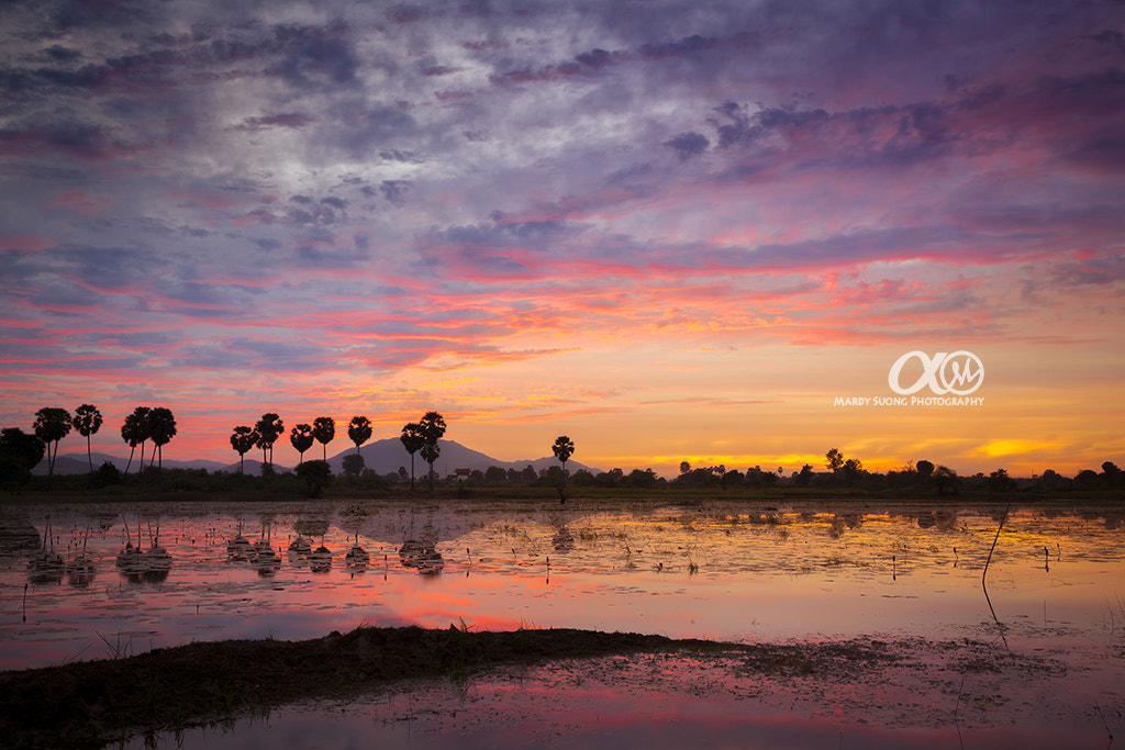 Sony Vario-Sonnar T* 16-35mm F2.8 ZA SSM II sample photo. 1st sony digital workshop ! (ខេត្តកំពង់ស្ពឺ) photography