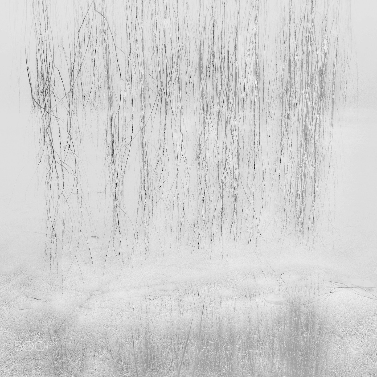 iPad Air back camera 3.3mm f/2.4 sample photo. Frozen photography