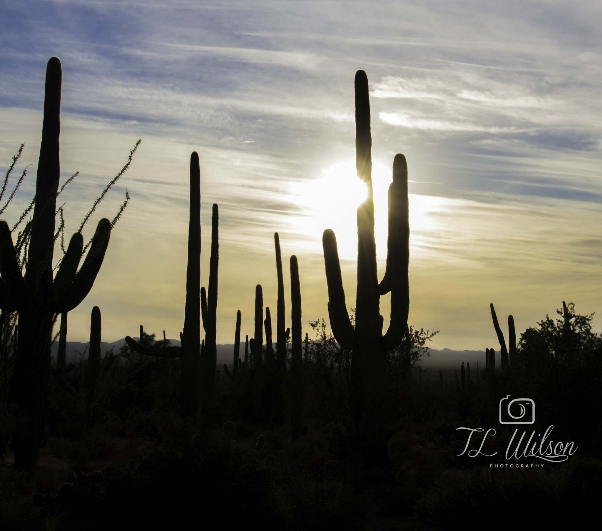Sigma 10-20mm F3.5 EX DC HSM sample photo. Sunset in the desert photography