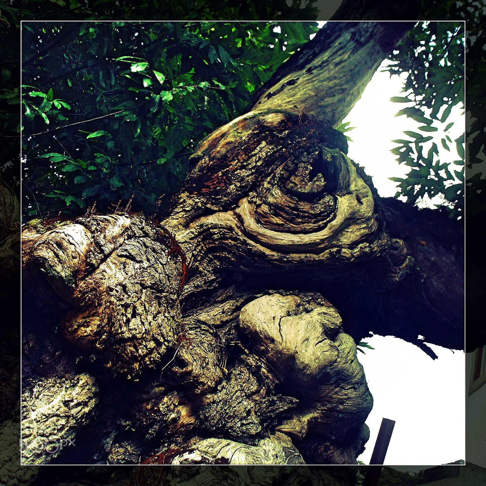 Olympus u760,S760 sample photo. Sintra 2015 photography