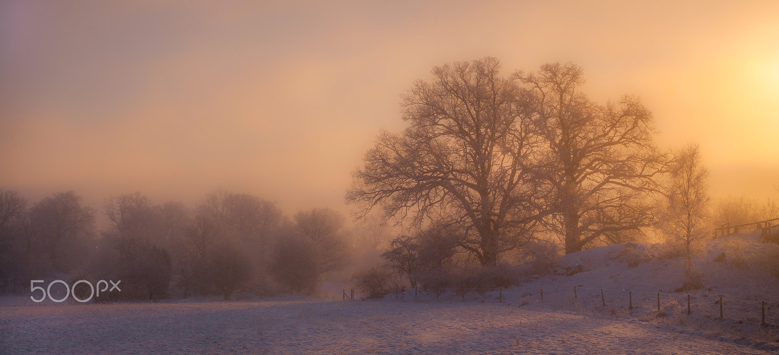 Canon EF 28-80mm f/2.8-4L sample photo. Snowflakes and backlight. photography