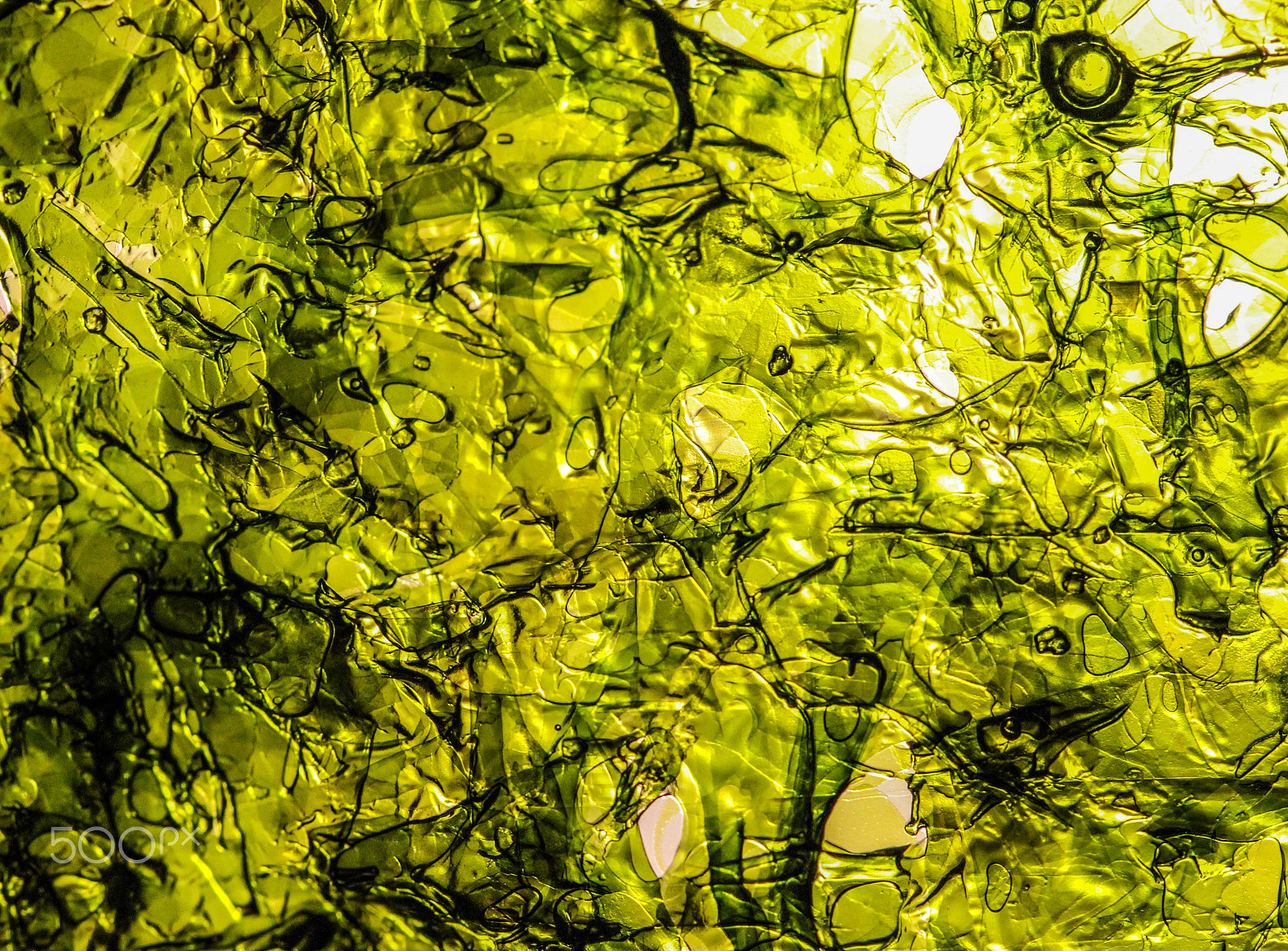 Sigma 105mm F2.8 EX DG OS HSM sample photo. Green glass photography