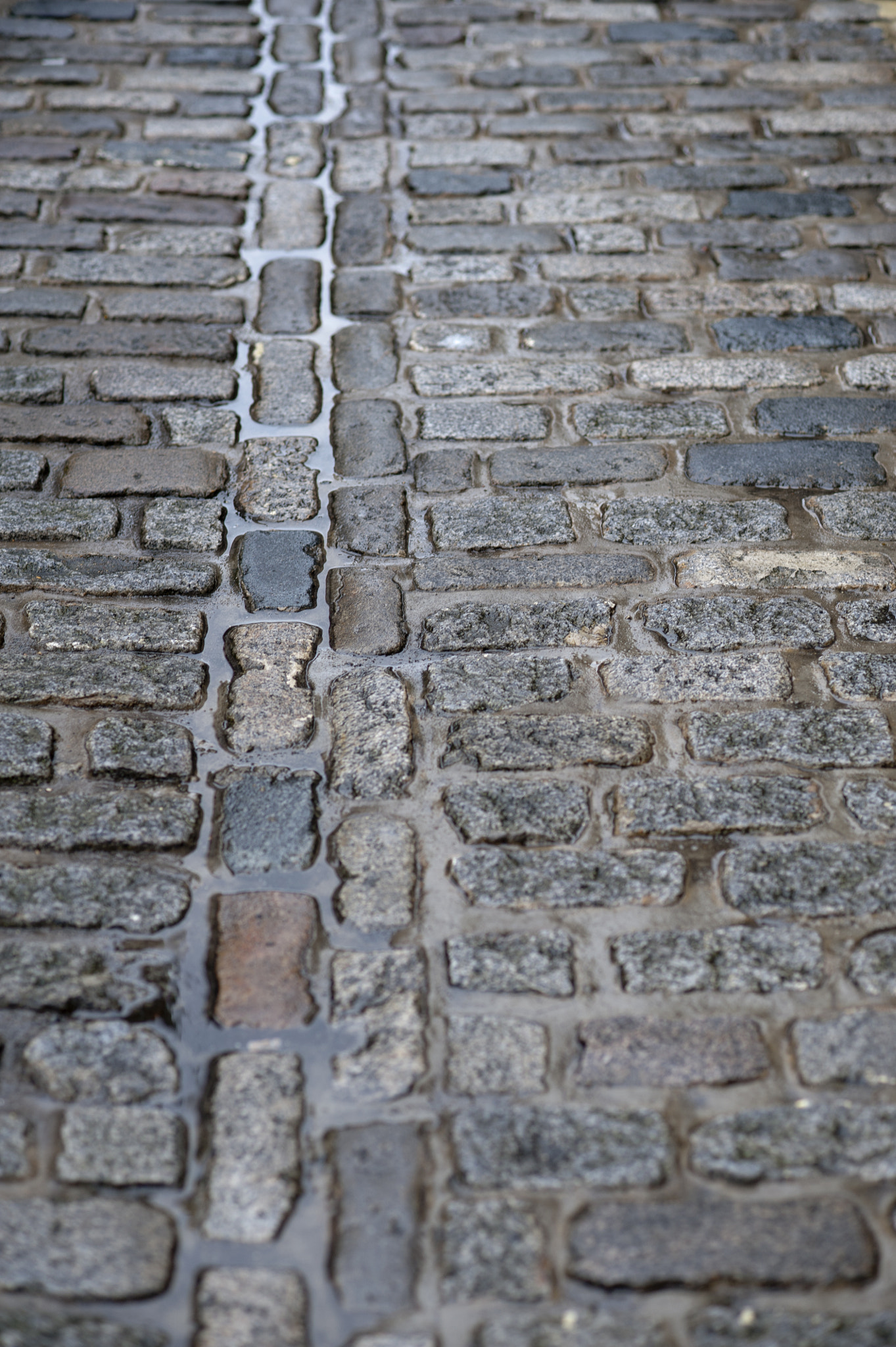 Nikon D700 + AF Nikkor 85mm f/1.8 sample photo. Wet stones photography
