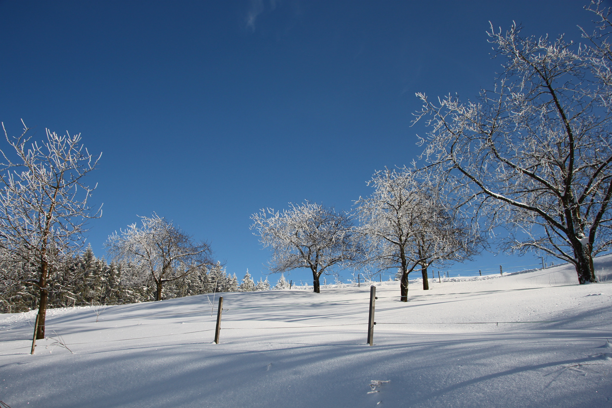 Sigma 18-250mm F3.5-6.3 DC OS HSM sample photo. Solberg im schwarzwald photography