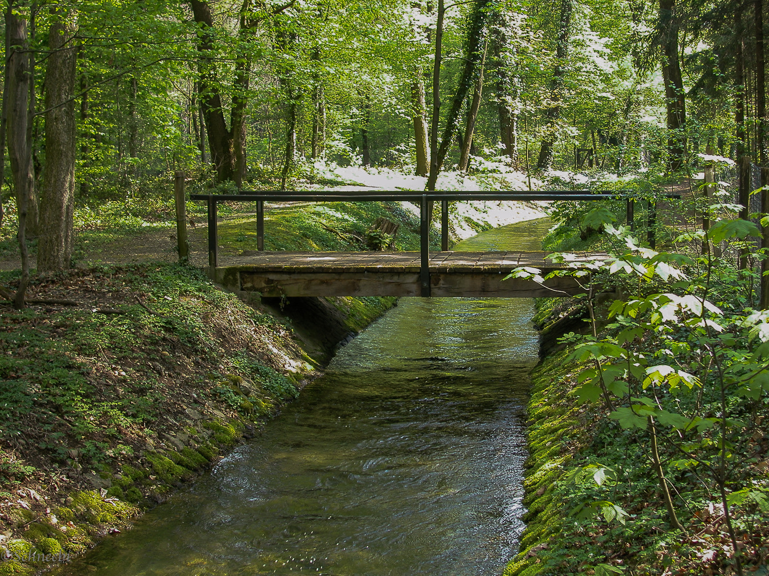 Nikon E5000 sample photo. Hardwald photography