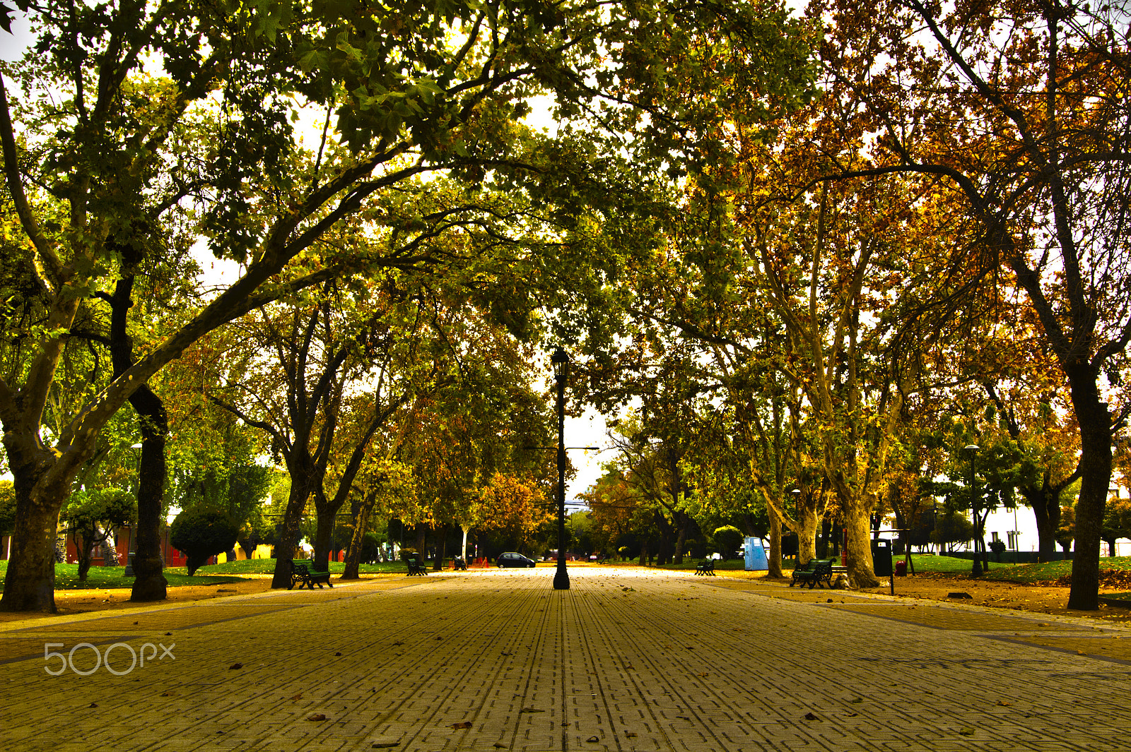 Canon EOS 100D (EOS Rebel SL1 / EOS Kiss X7) sample photo. Alameda de talca photography