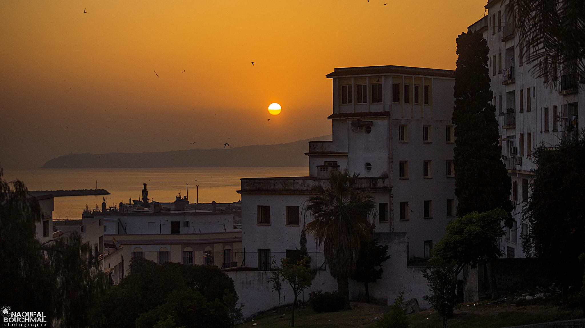 Sony DT 55-200mm F4-5.6 SAM sample photo. شروق الشمس photography