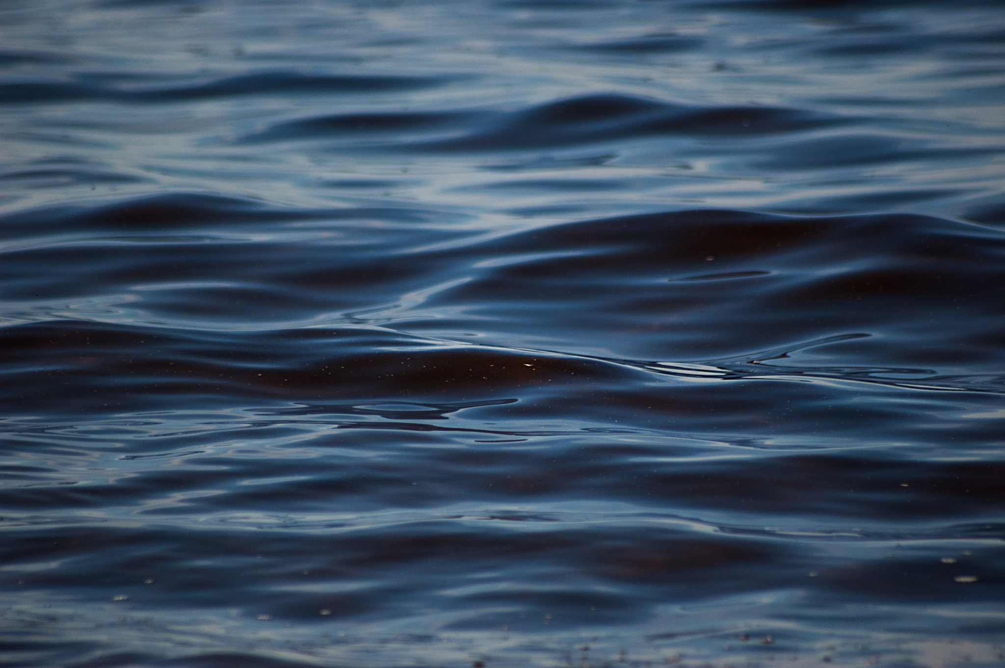 Nikon D50 sample photo. Воды photography