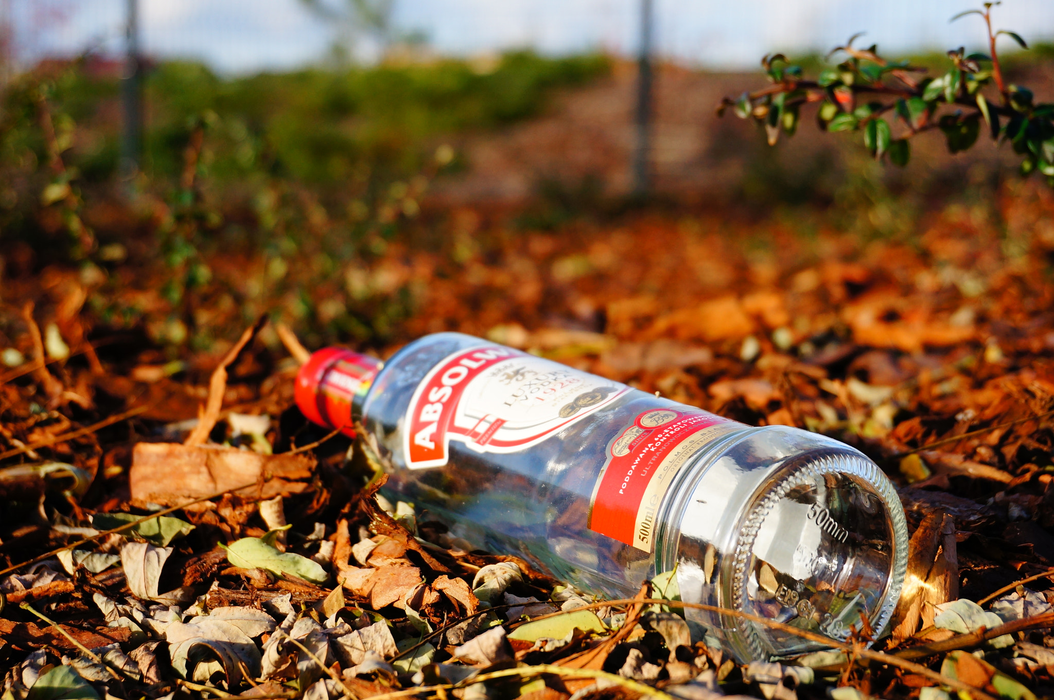 Sony Alpha NEX-5N + Sony E 16-50mm F3.5-5.6 PZ OSS sample photo. Gadki, poland - october 21, 2013: empty bottle of vodka lying on the ground photography