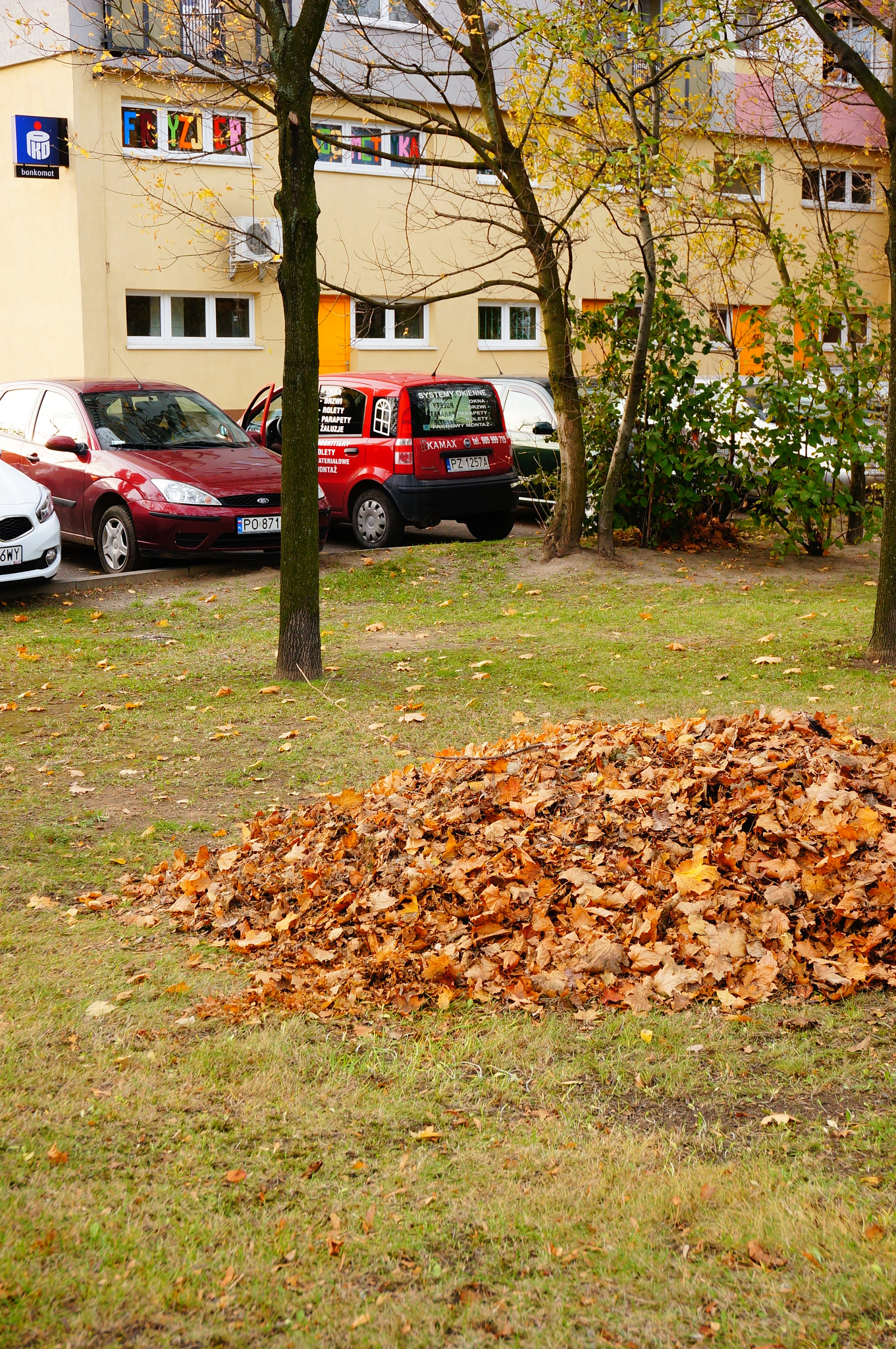 Sony E 16-50mm F3.5-5.6 PZ OSS sample photo. Poznan, poland - october 23, 2013: group of leaves by a parking lot of a apartment building photography