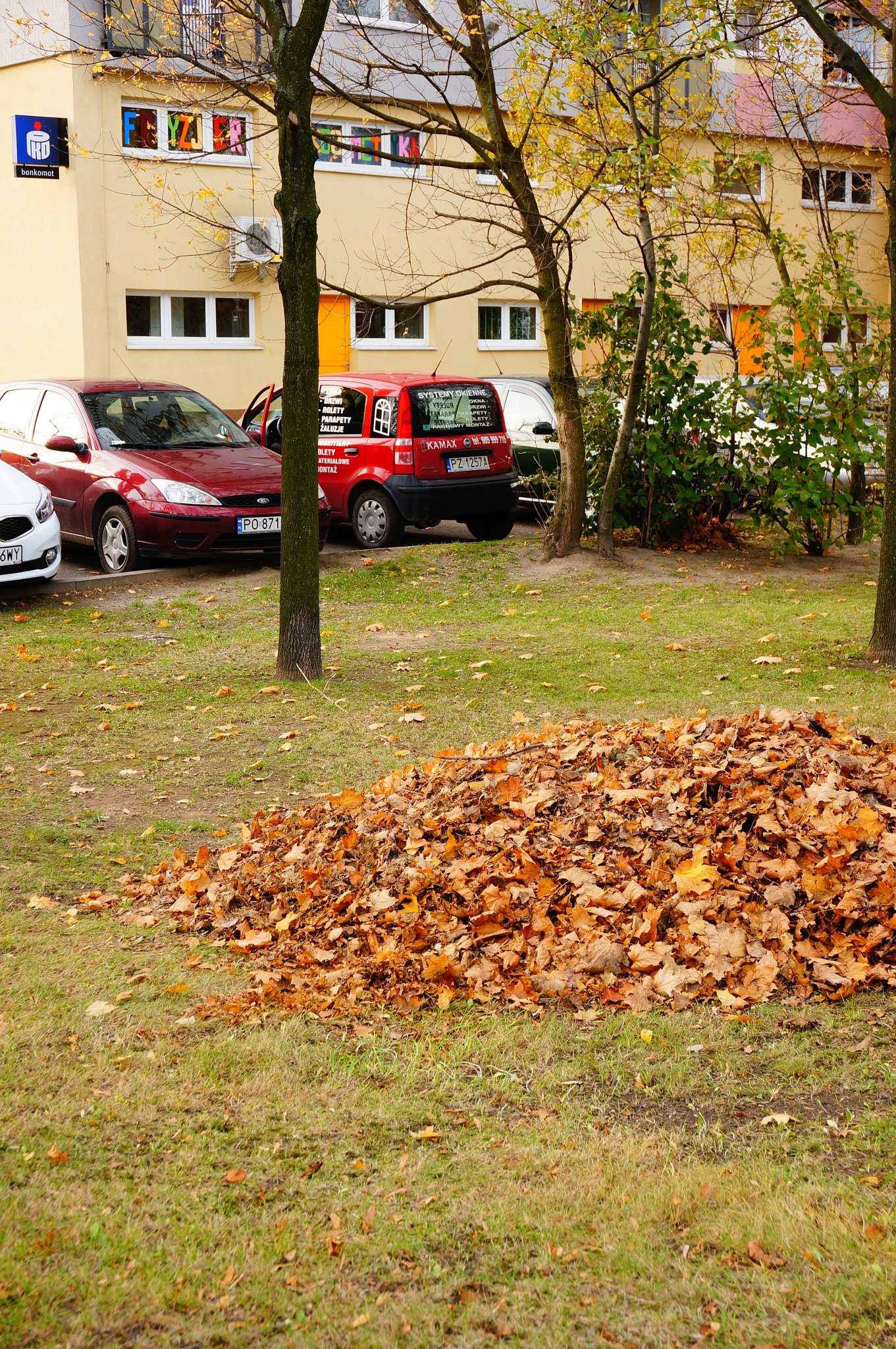 Sony Alpha NEX-5N + Sony E 16-50mm F3.5-5.6 PZ OSS sample photo. Poznan, poland - october 23, 2013: group of leaves by a parking lot of a apartment building photography