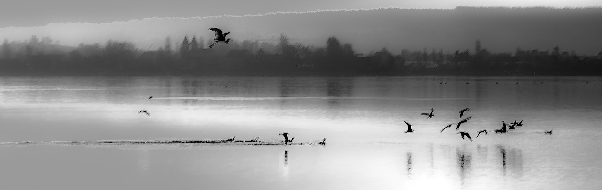 Pentax smc DA 55-300mm F4.0-5.8 ED sample photo. Heron scape photography