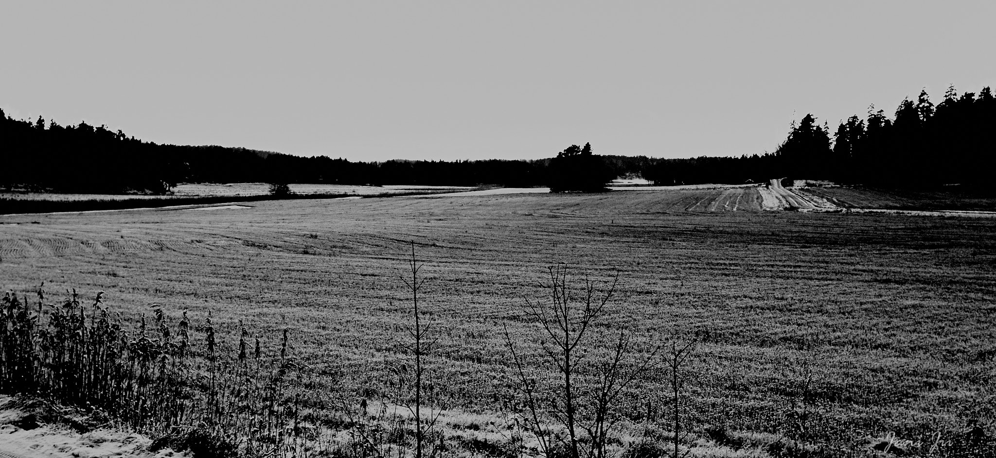 Canon EF 20-35mm f/2.8L sample photo. Frosty field photography