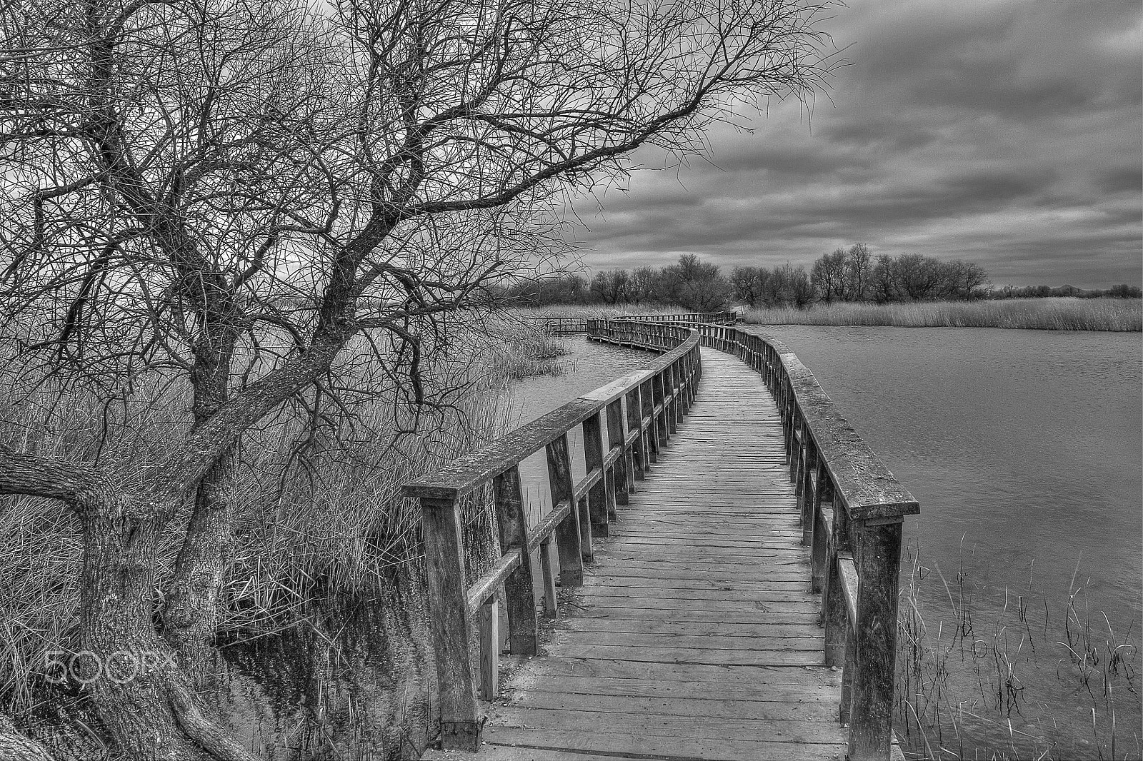 Tokina AT-X Pro 12-24mm F4 (IF) DX sample photo. Las tablas de daimiel photography
