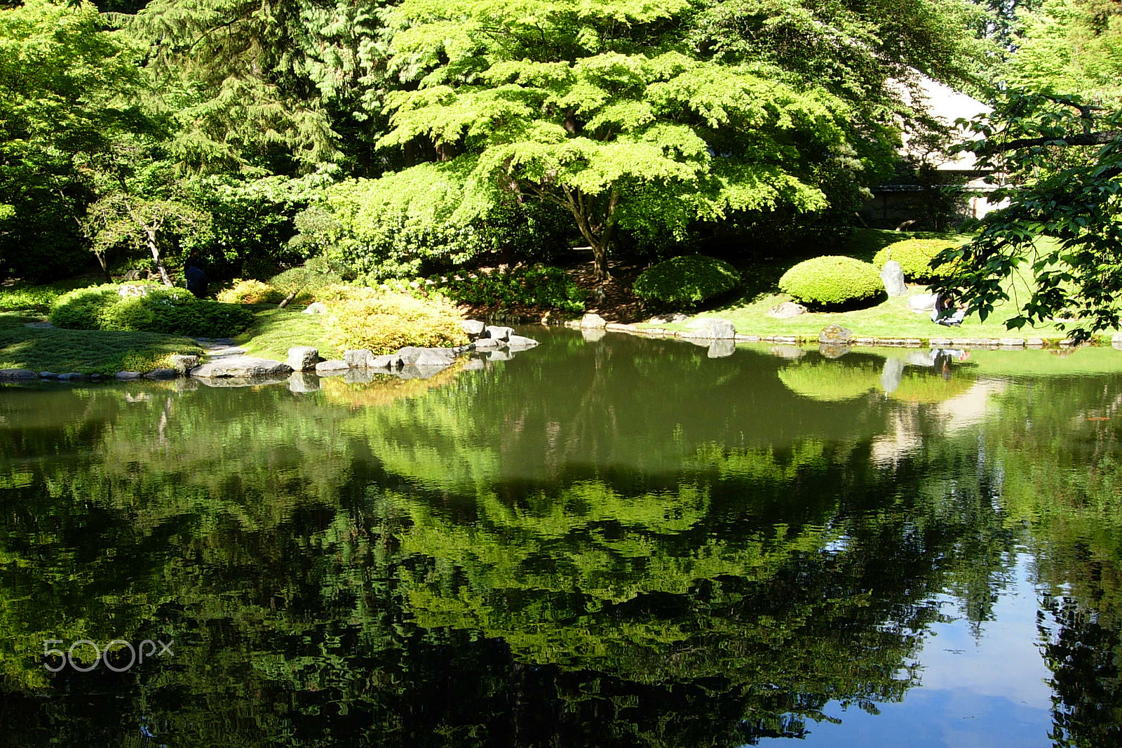Nikon COOLPIX P4 sample photo. Japanese garden 4 photography