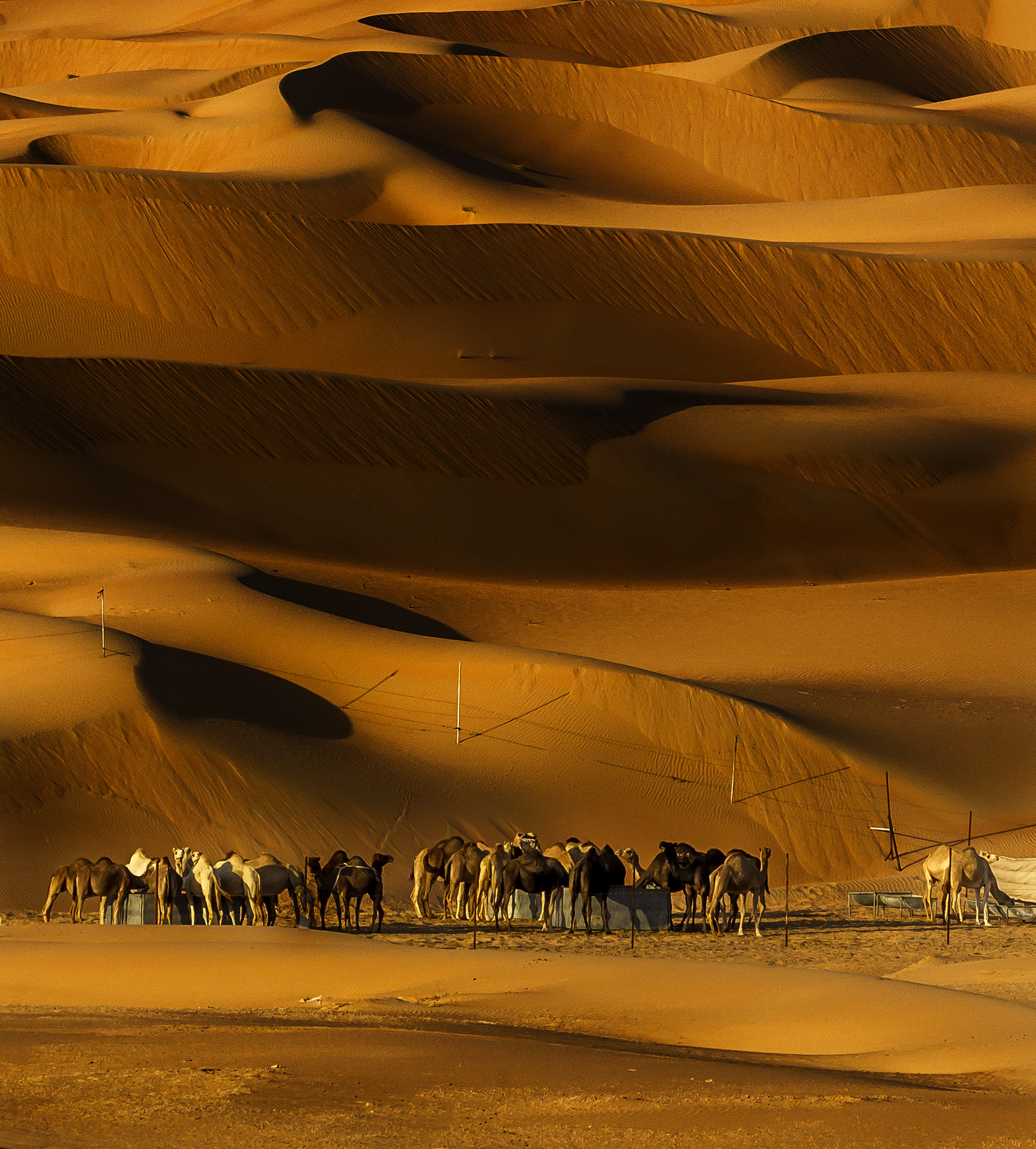 Sigma 150-600mm F5-6.3 DG OS HSM | C sample photo. Silky sand dunes photography