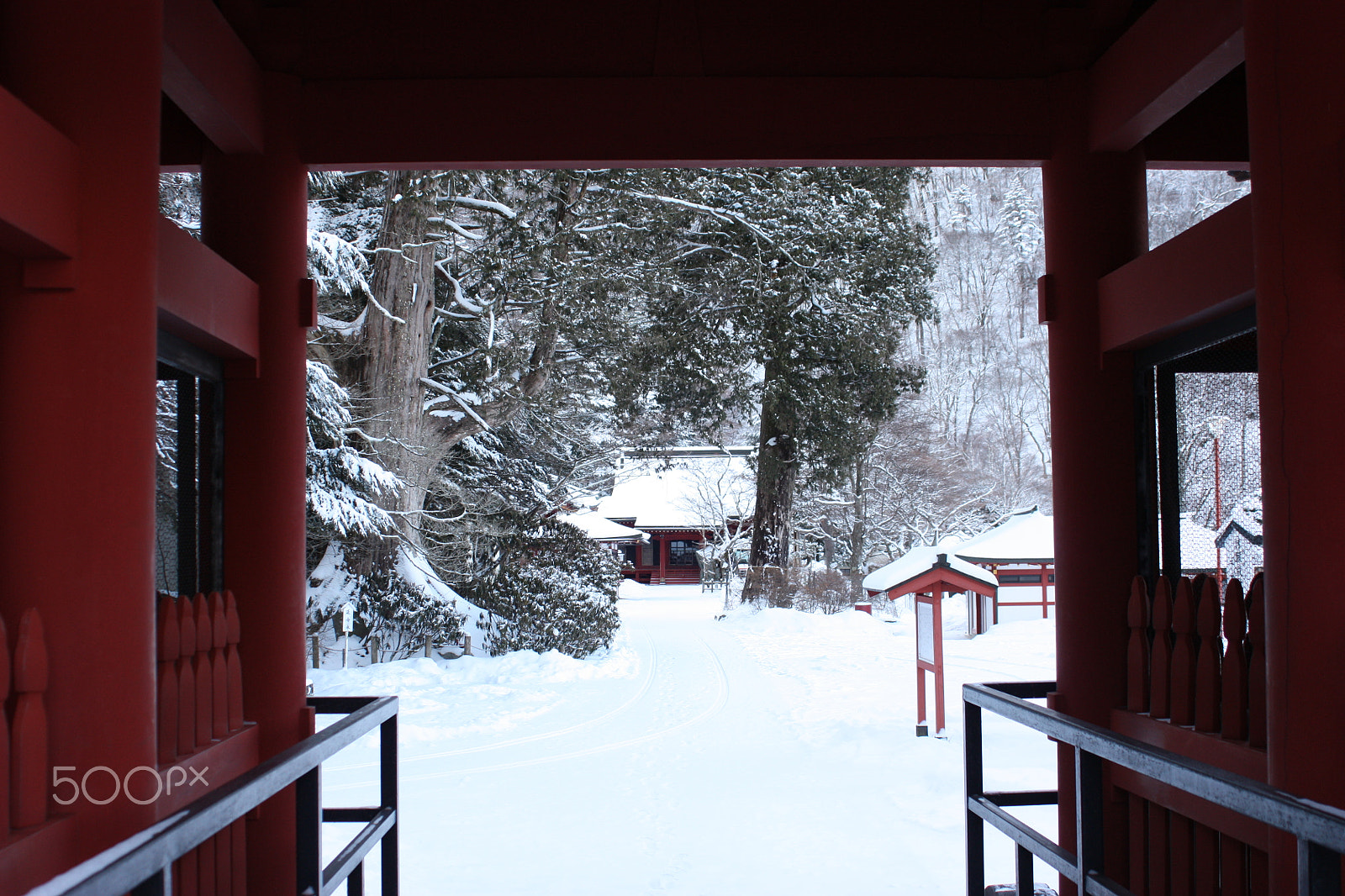 Canon EOS 450D (EOS Rebel XSi / EOS Kiss X2) + Canon EF 28-80mm f/3.5-5.6 USM IV sample photo. Snow tyuzenji  temple .img_5202.jpg photography