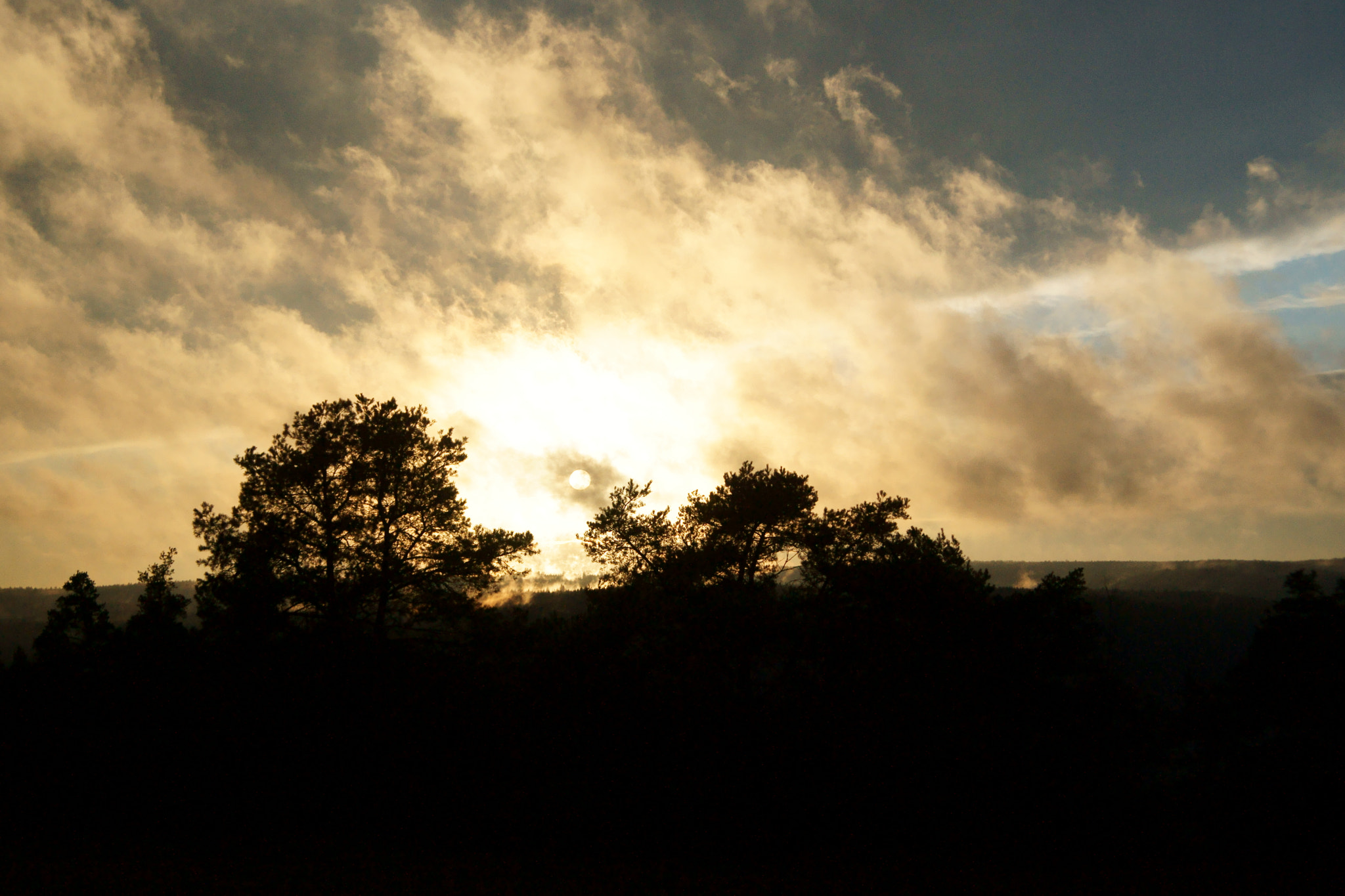 Minolta AF 35-70mm F3.5-4.5 [II] sample photo. Winter sun photography