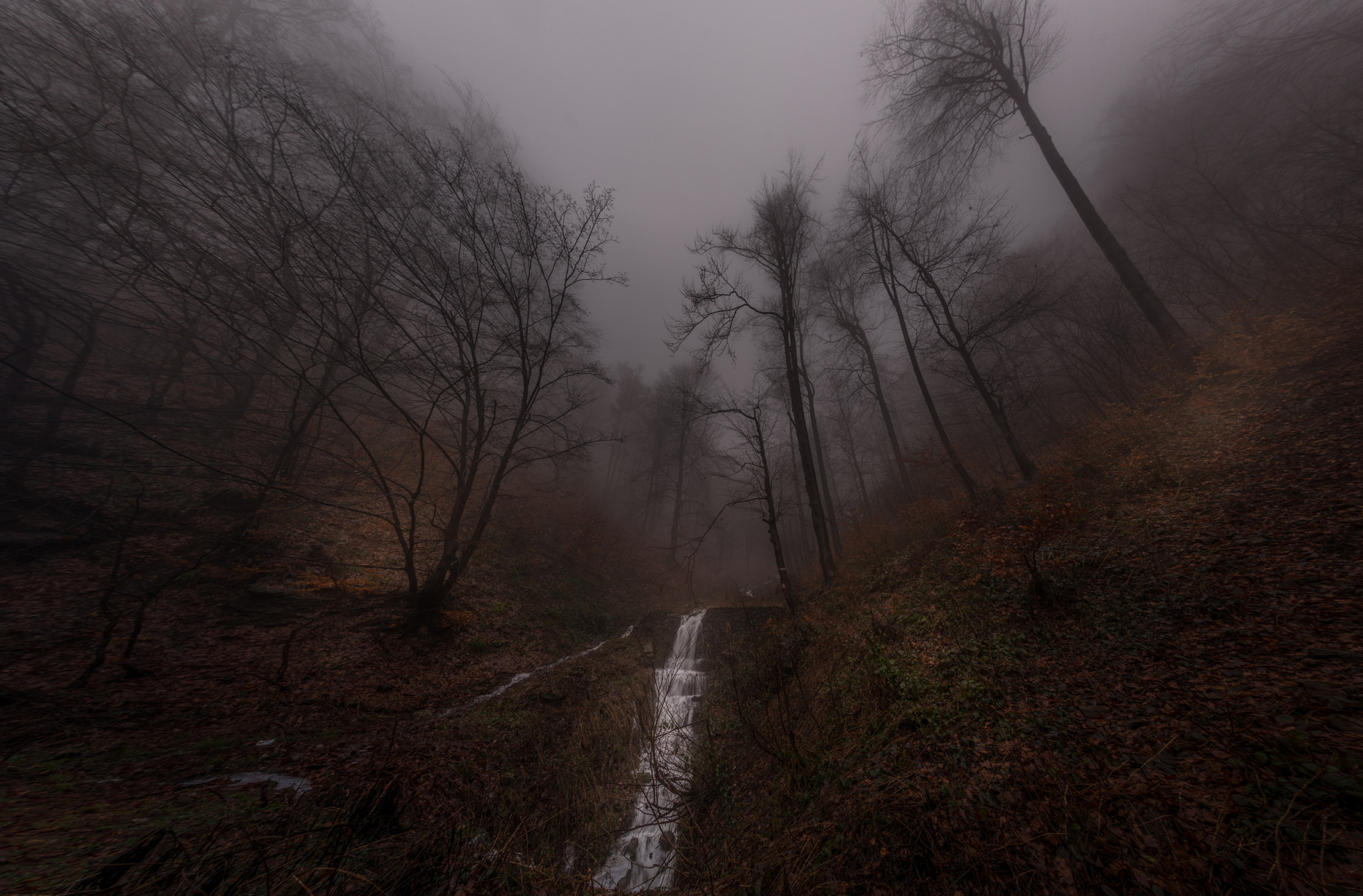 Samyang 12mm F2.8 ED AS NCS Fisheye sample photo. Wild january photography