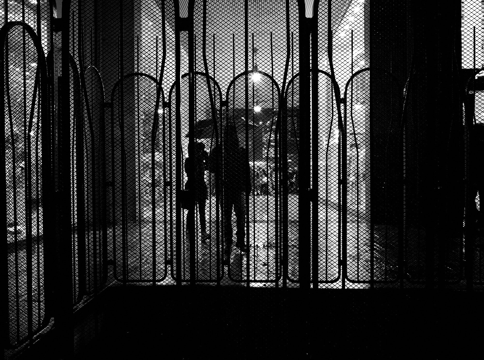 Leica M Monochrom (Typ 246) sample photo. Caged photography
