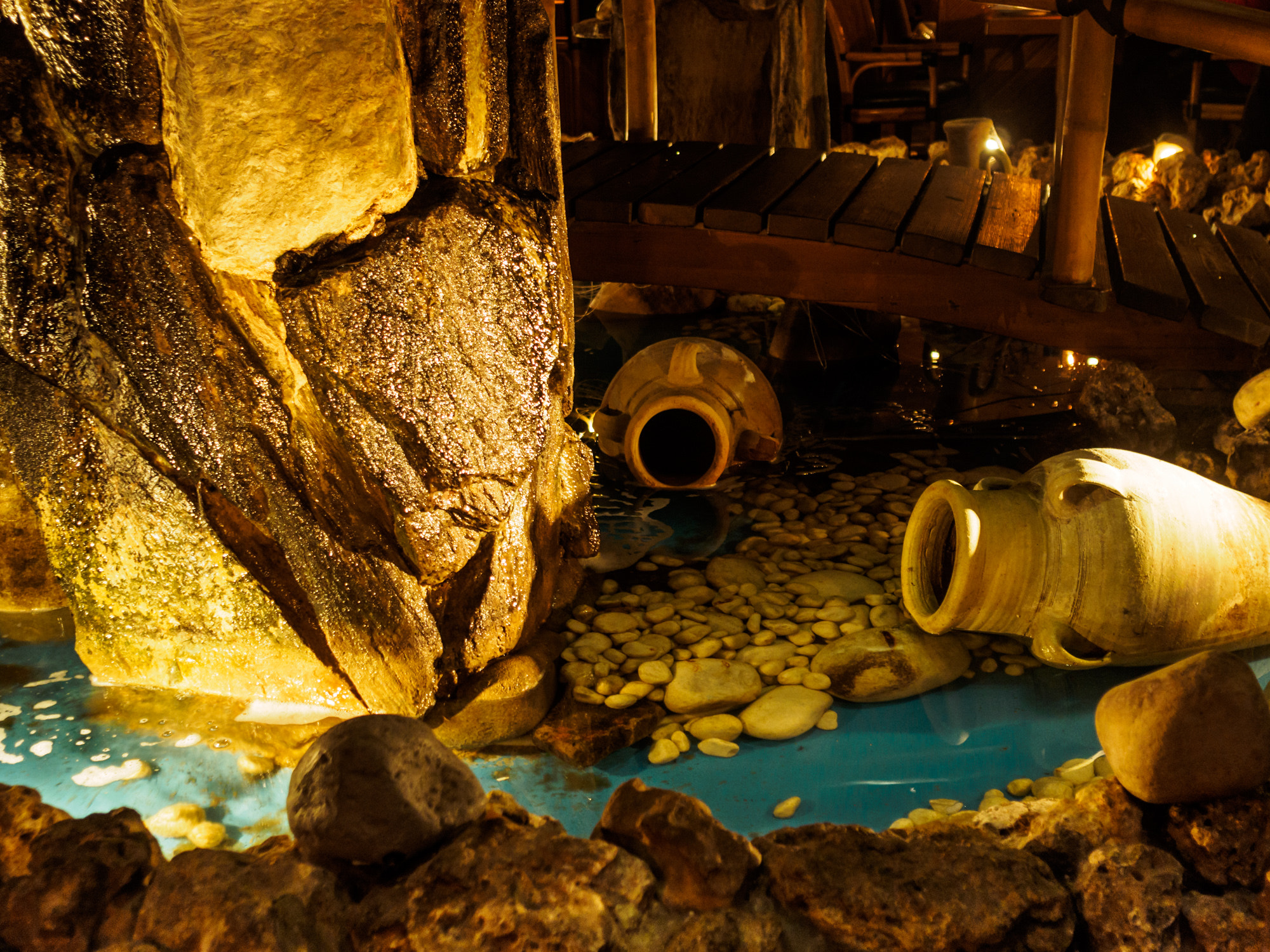 Olympus OM-D E-M1 + Sigma 19mm F2.8 DN Art sample photo. 43/365 - indoor pond photography