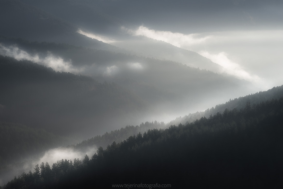Sony 70-300mm F4.5-5.6 G SSM sample photo. Brumas photography