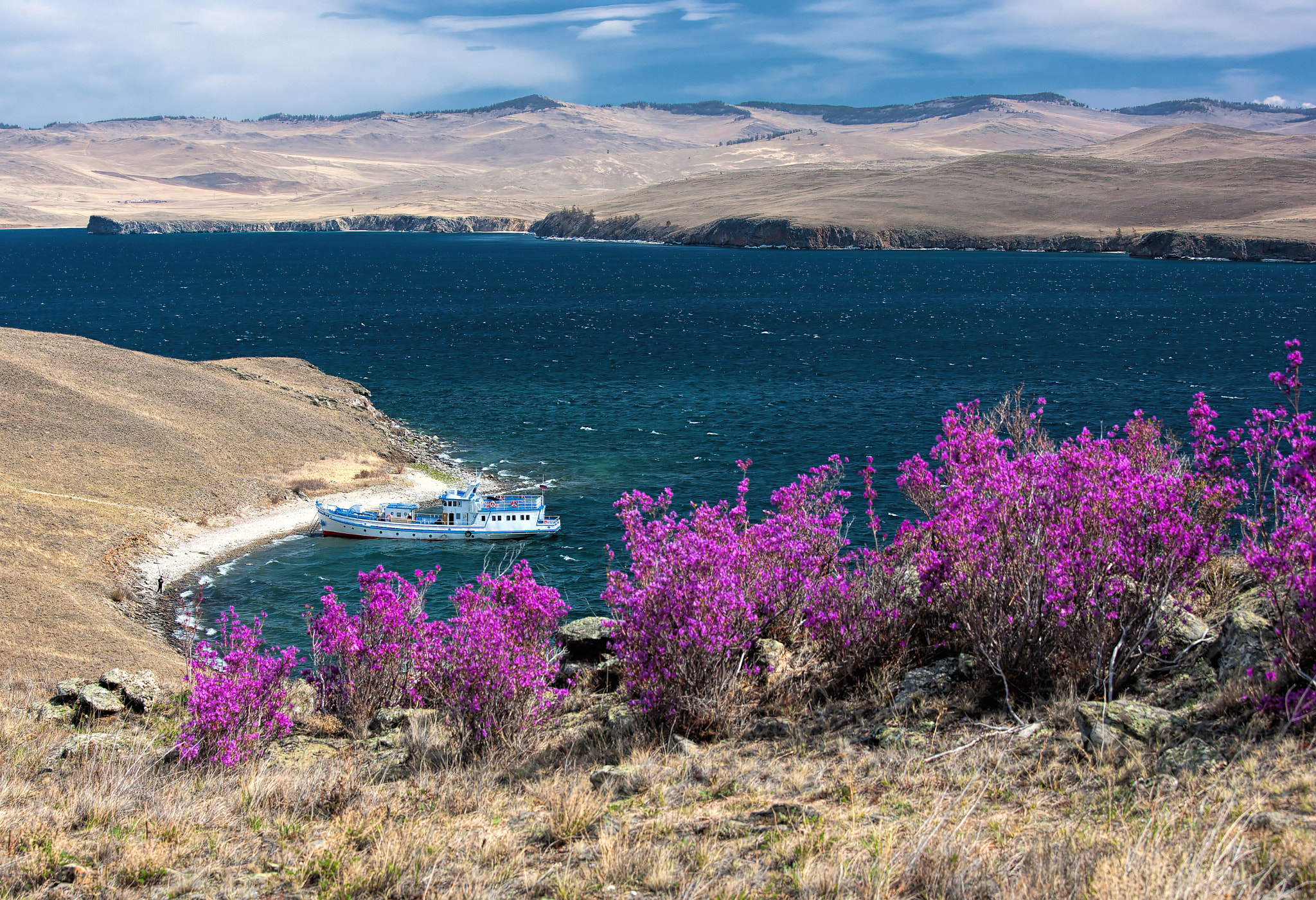 Canon EOS-1Ds Mark III sample photo. Baikal rhododendron photography