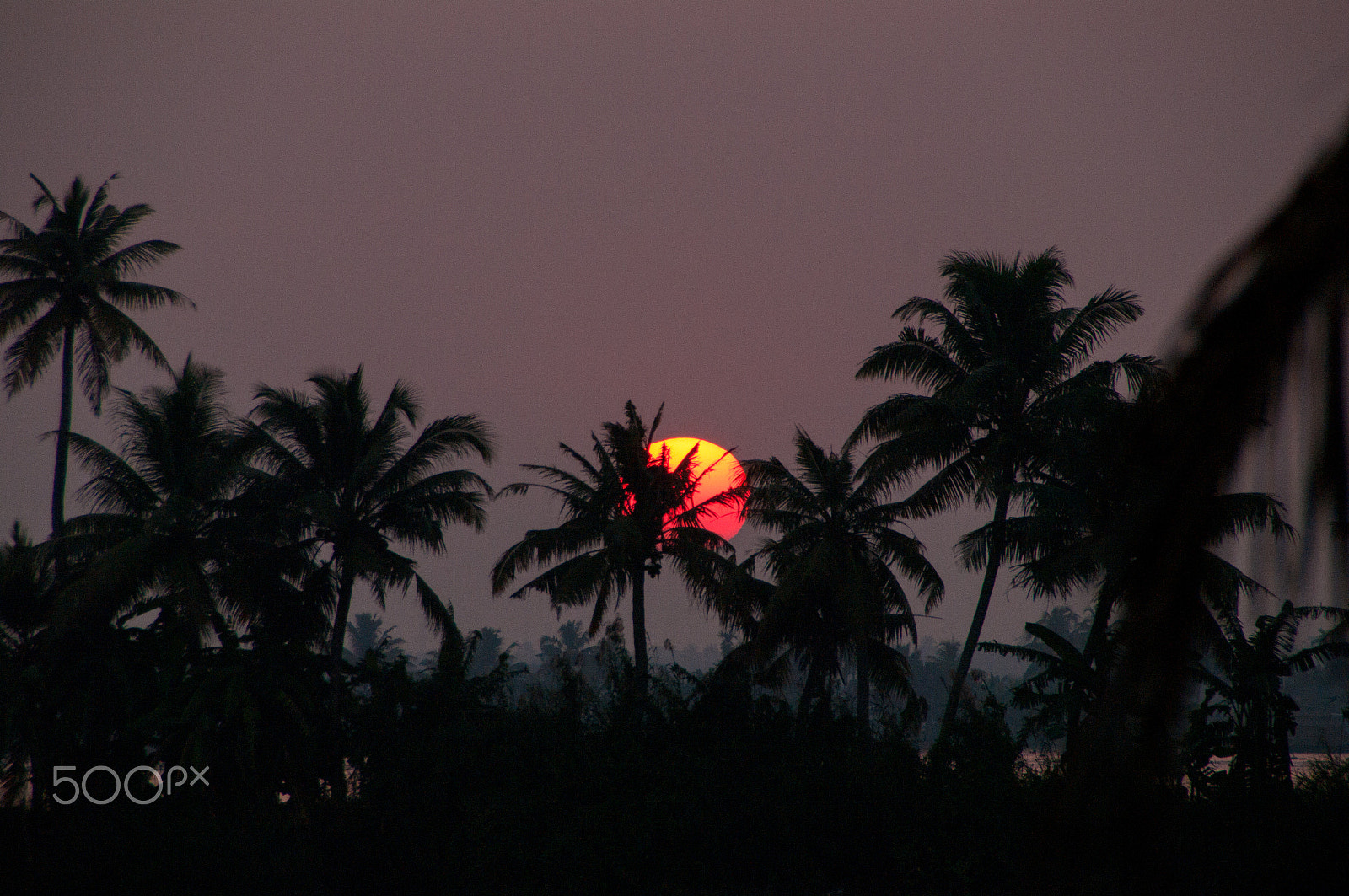 Pentax K-7 sample photo. Keralan sunset photography