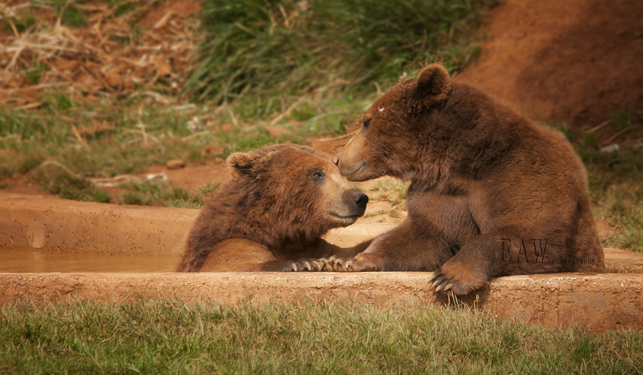 Sigma 150-500mm F5-6.3 DG OS HSM sample photo. Tell me you love me... photography