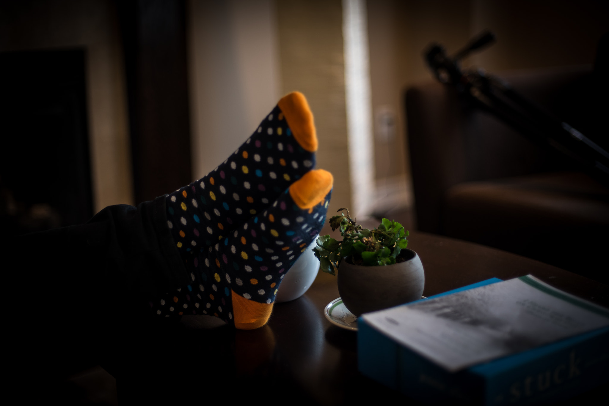 Nikon D750 + AF Nikkor 50mm f/1.4 sample photo. Socks & polka dots photography