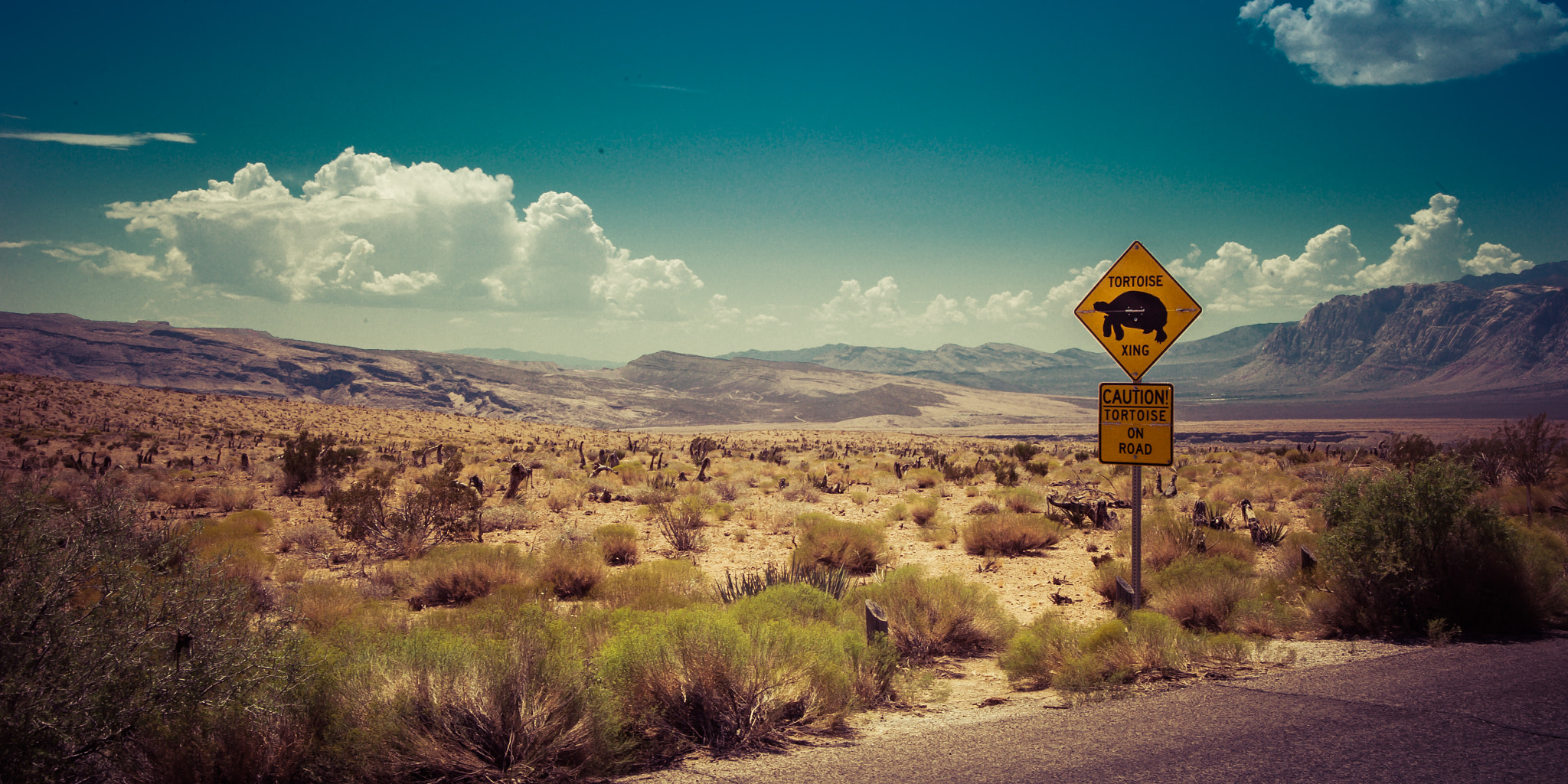 Nikon D3S sample photo. Redrock photography