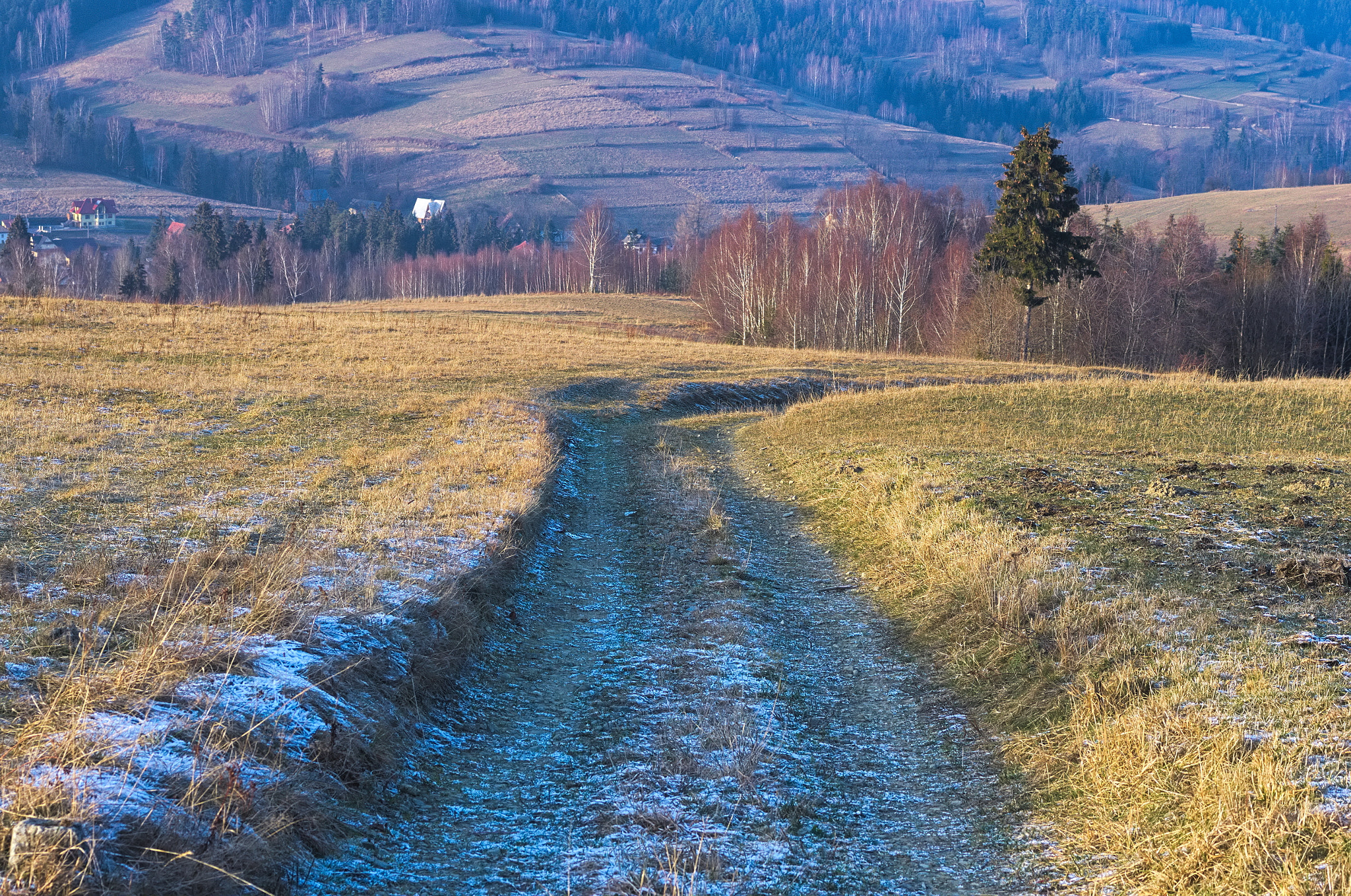 Pentax K-5 + smc PENTAX-FA Macro 50mm F2.8 sample photo. Descend to rdzawka photography