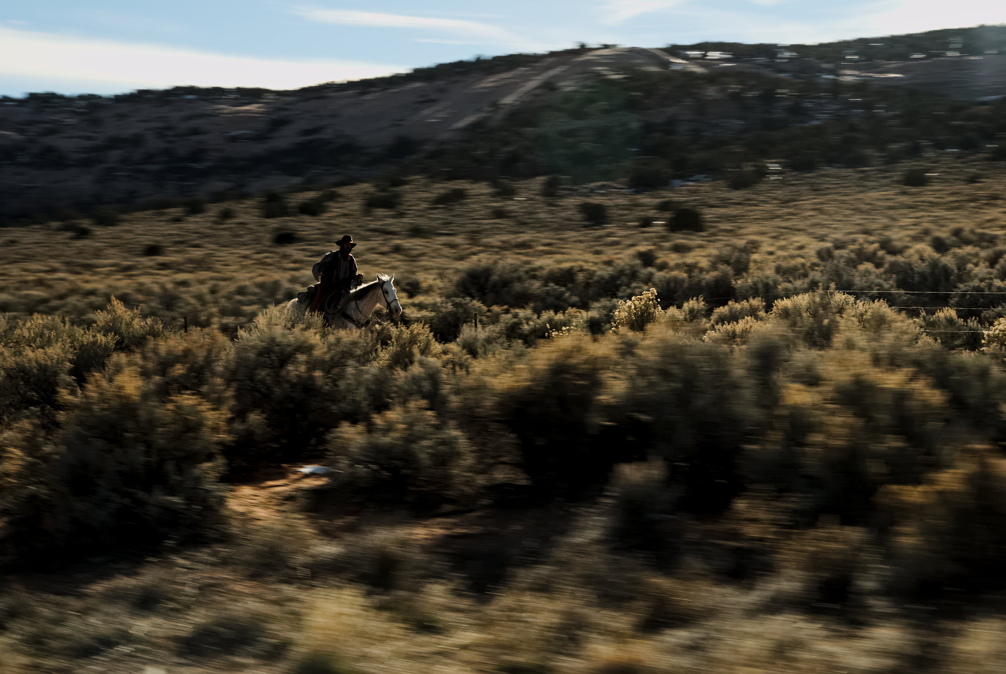 Nikon D80 + Sigma 18-50mm F2.8 EX DC Macro sample photo. Modern cowboy photography