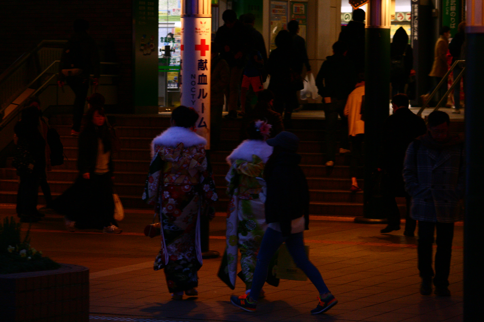 Canon EF 55-200mm F4.5-5.6 II USM sample photo. Passing photography