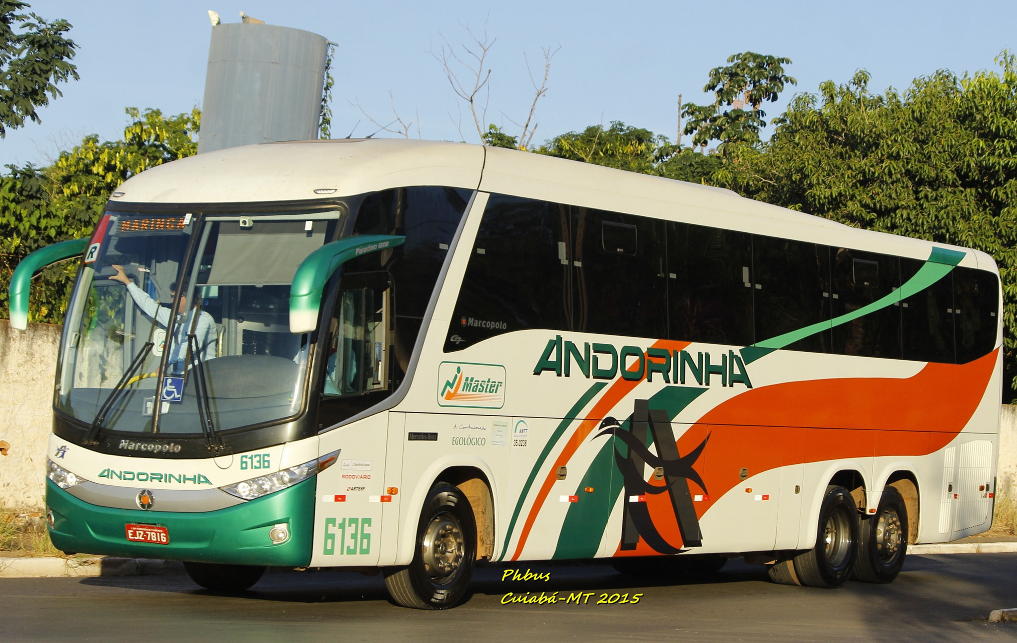 Canon EF-S 55-250mm F4-5.6 IS II sample photo. Andorinha px photography