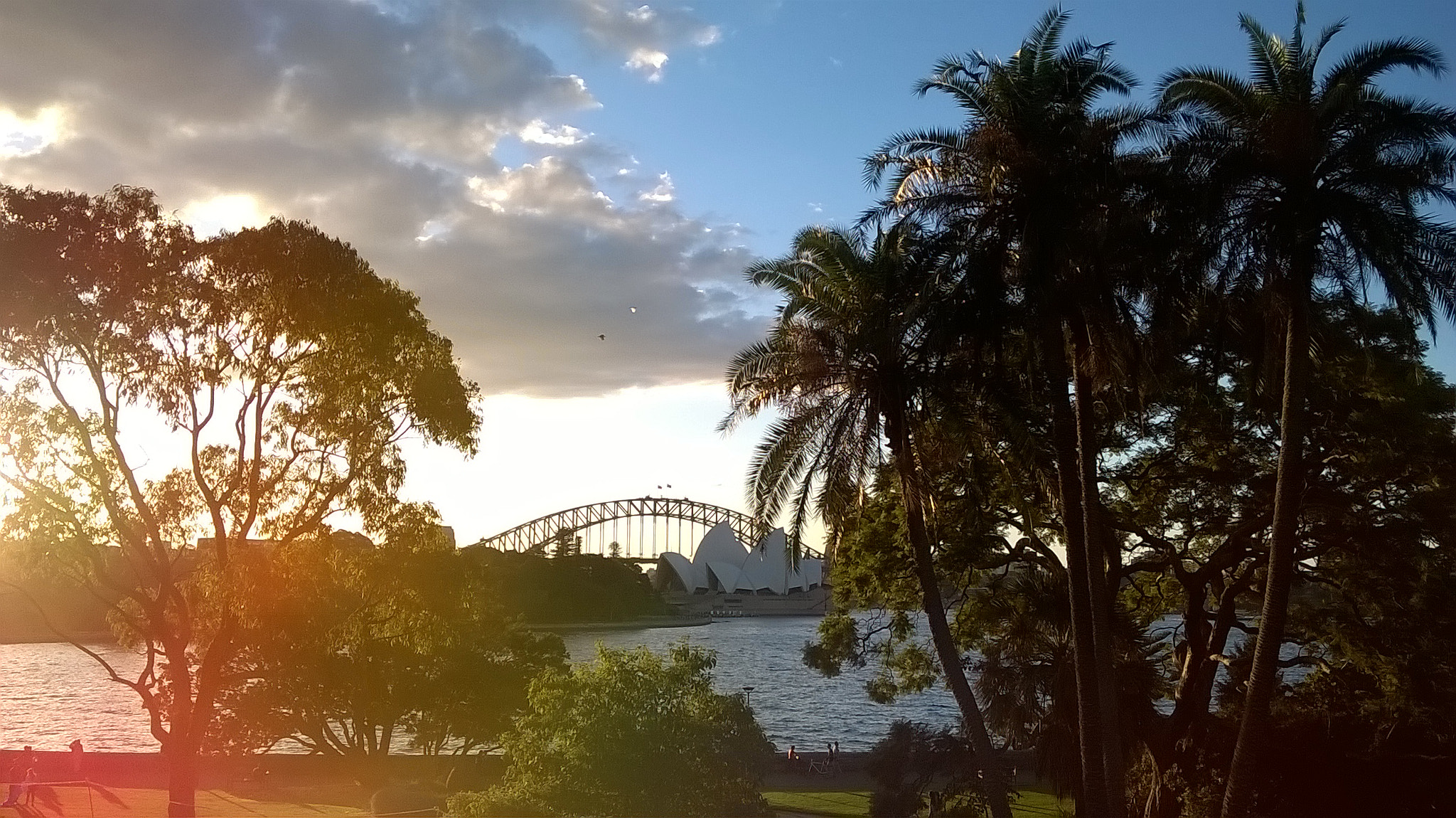 Nokia Lumia 635 sample photo. View of the harbour bridge & opera house, sydney! photography
