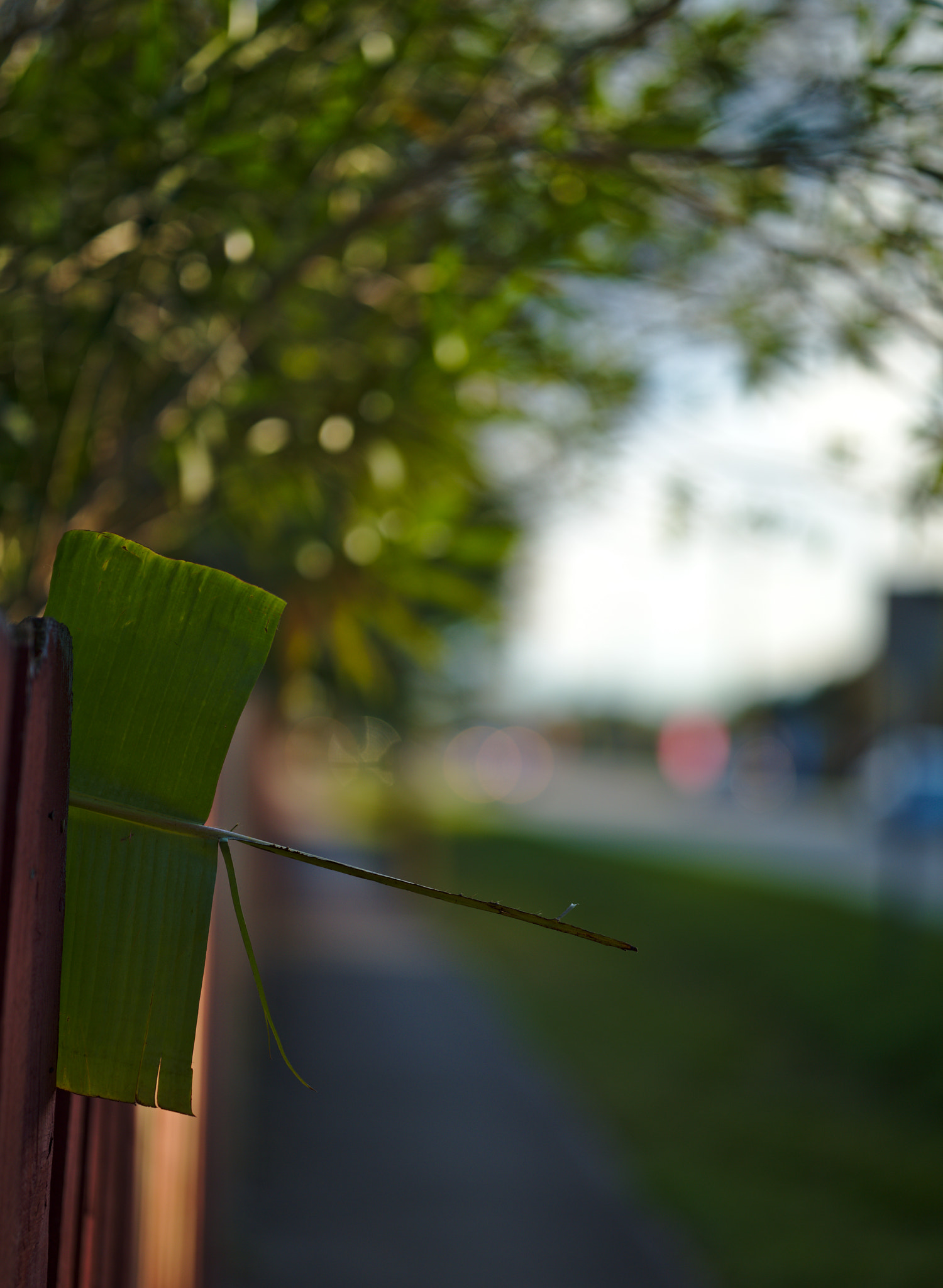 ZEISS Otus 85mm F1.4 sample photo. Stuck! photography