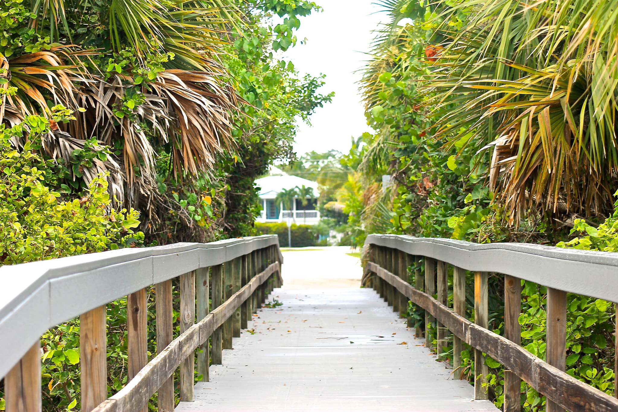 Canon EF 80-200mm F4.5-5.6 II sample photo. Sanibel boardwalk photography