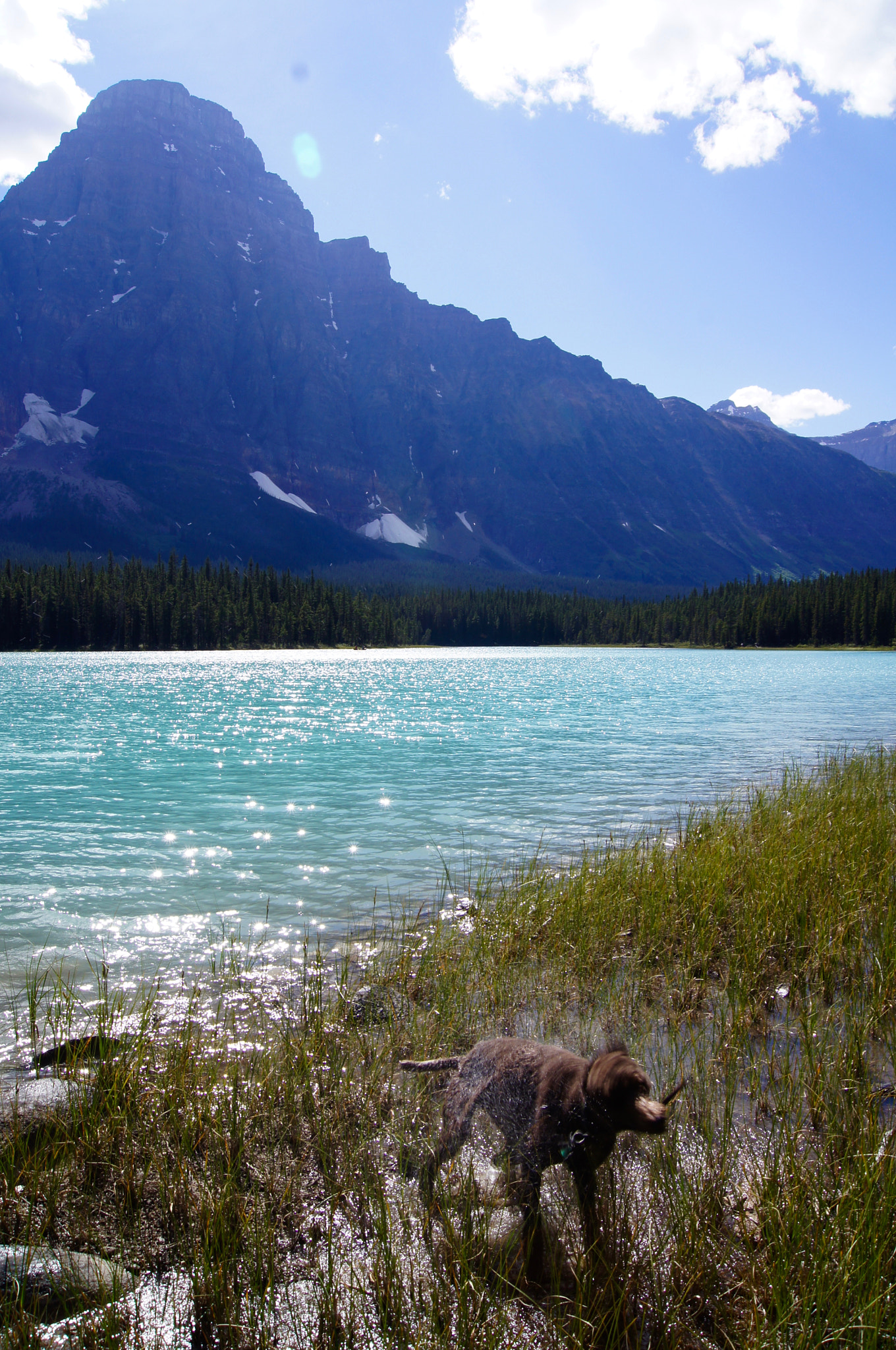 Sony DT 18-55mm F3.5-5.6 SAM II sample photo. Fetching bow lake photography